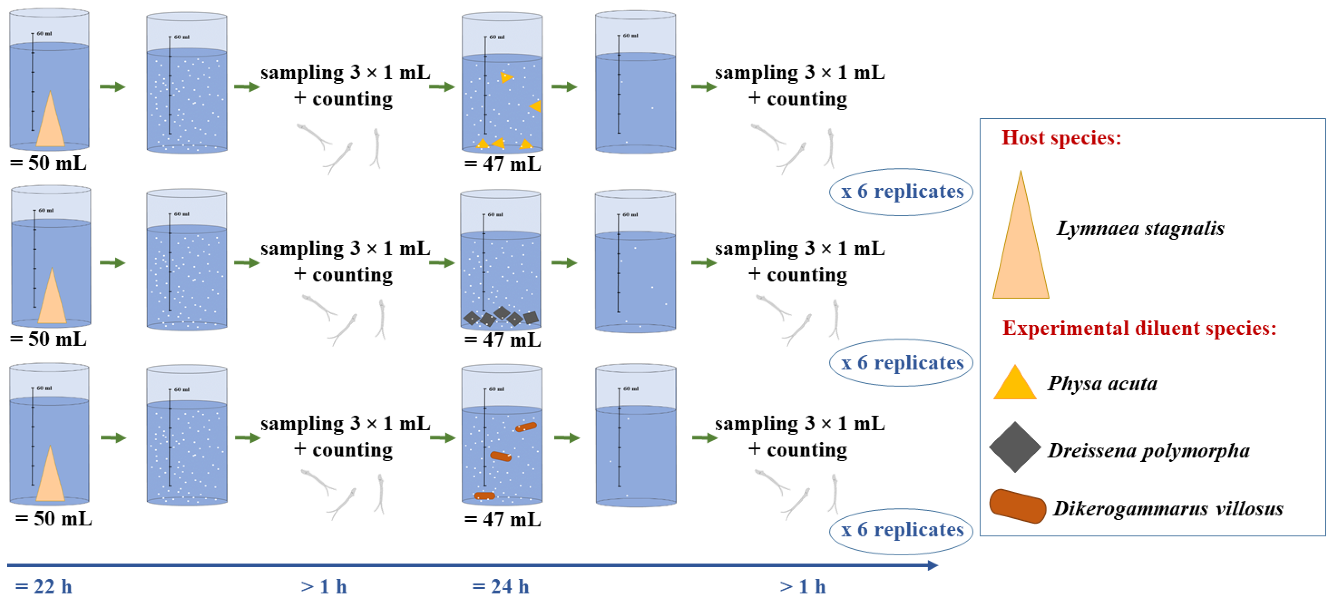 Pathogens 10 00740 g001