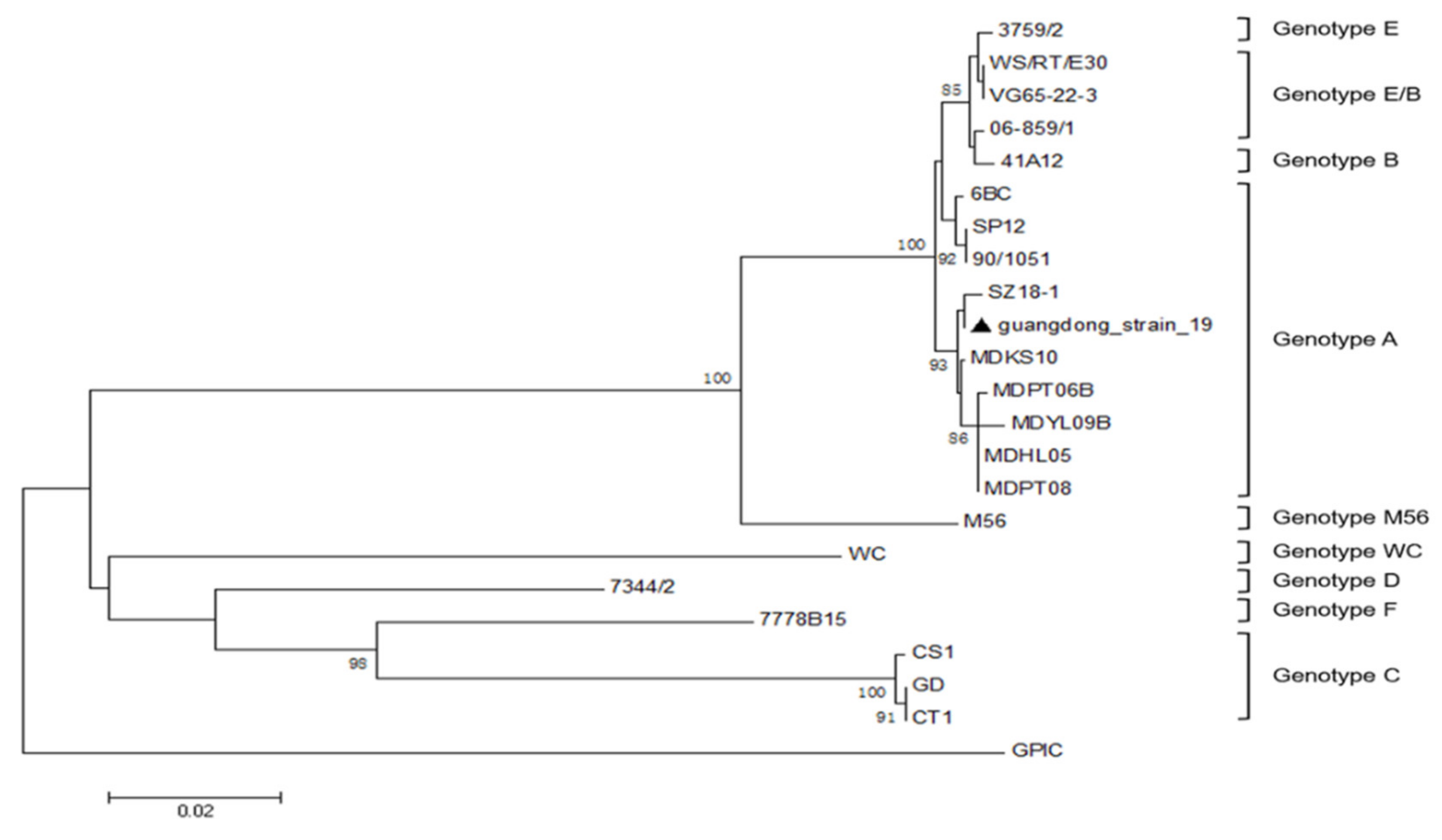 Pathogens 10 00755 g002