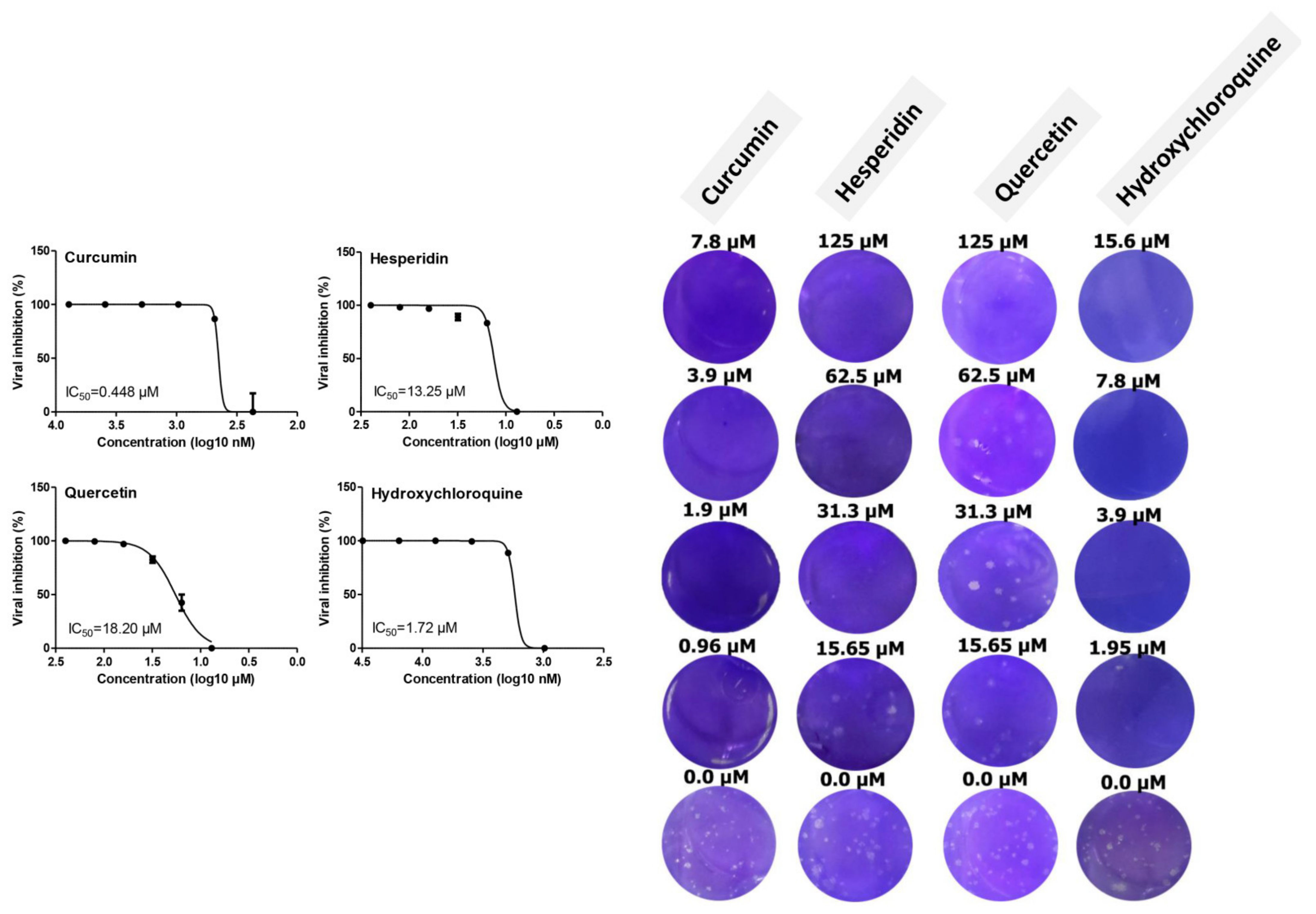 Pathogens 10 00758 g003 Pathogens 10 00758 g003