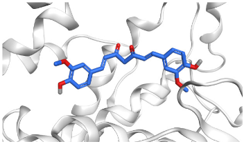 Pathogens 10 00758 i001