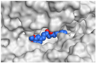 Pathogens 10 00758 i002