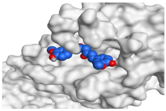 Pathogens 10 00758 i004