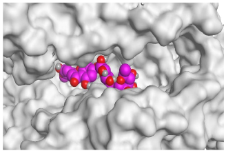 Pathogens 10 00758 i006