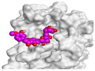 Pathogens 10 00758 i008