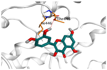Pathogens 10 00758 i009