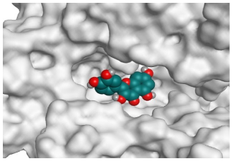 Pathogens 10 00758 i010