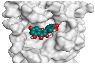 Pathogens 10 00758 i012