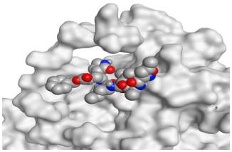 Pathogens 10 00758 i014