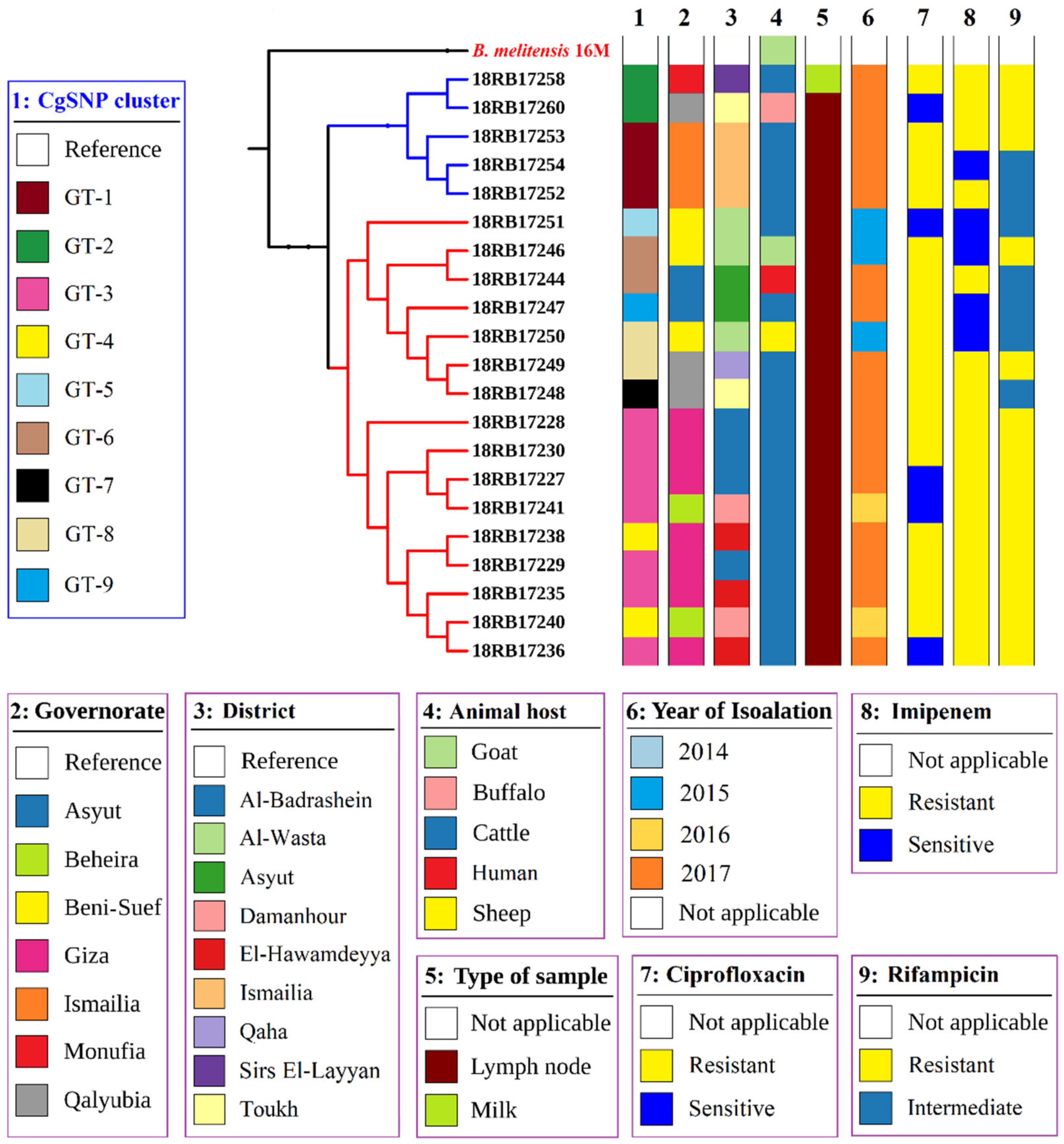 Pathogens 10 00759 g002 Pathogens 10 00759 g002