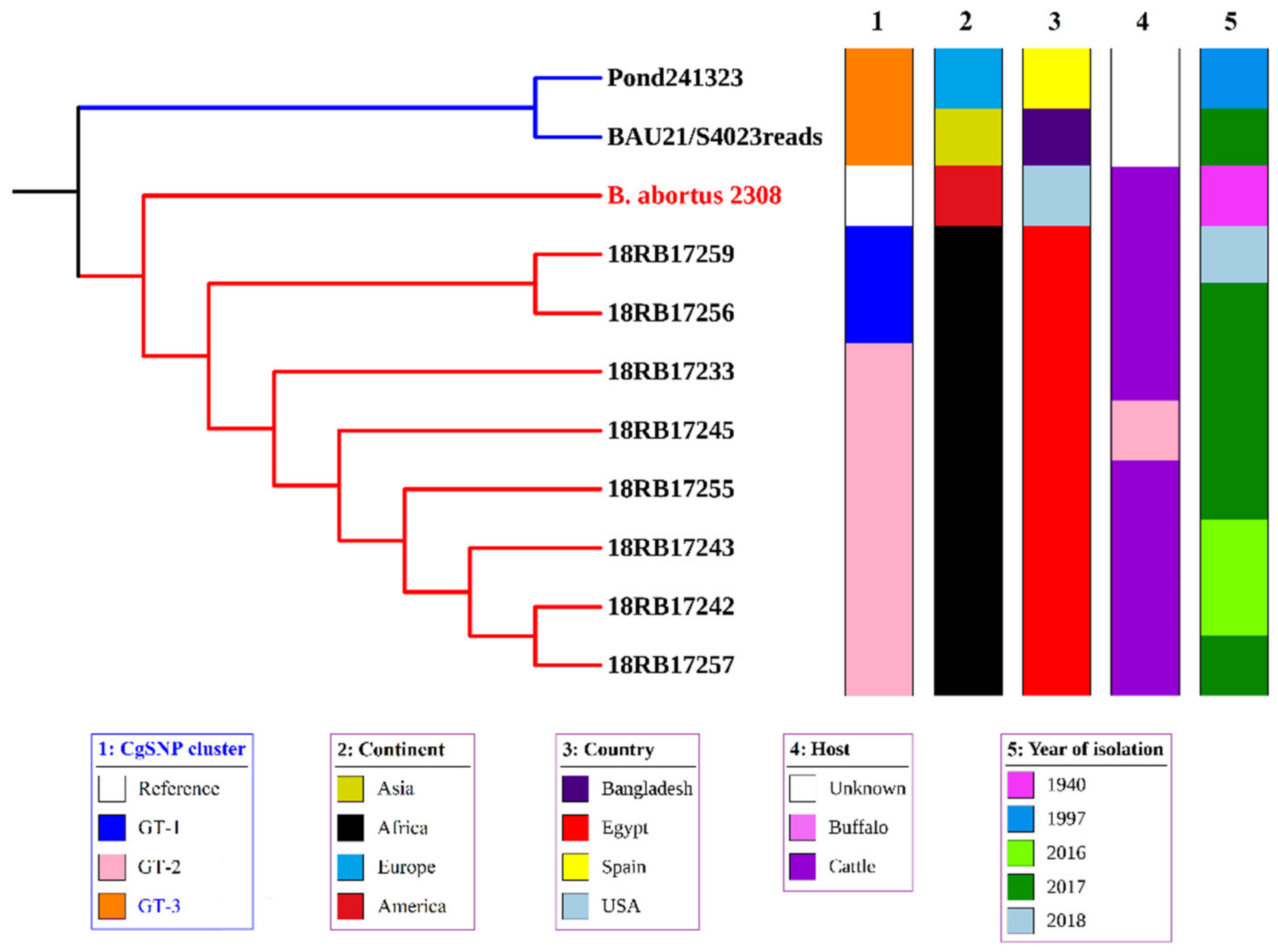 Pathogens 10 00759 g005 Pathogens 10 00759 g005