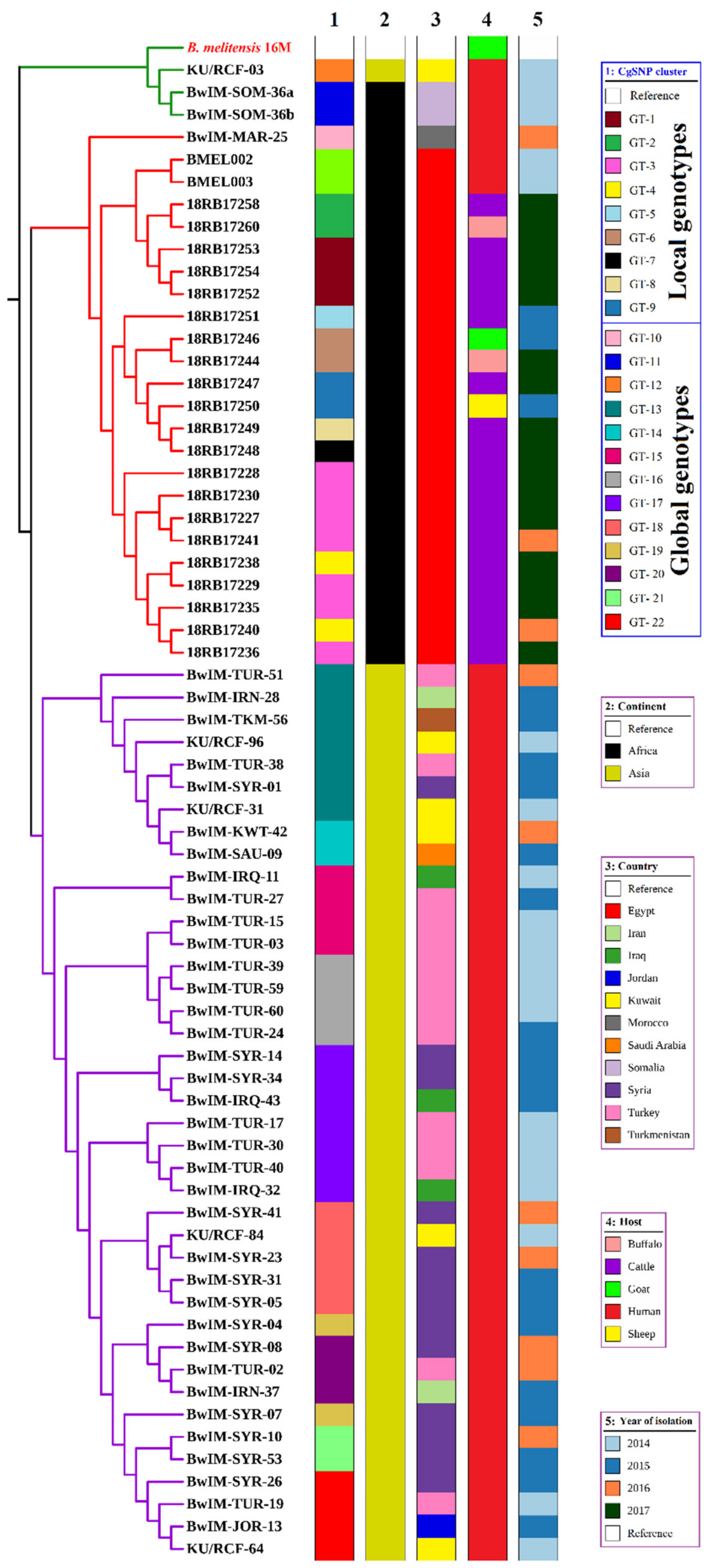 Pathogens 10 00759 g006 Pathogens 10 00759 g006