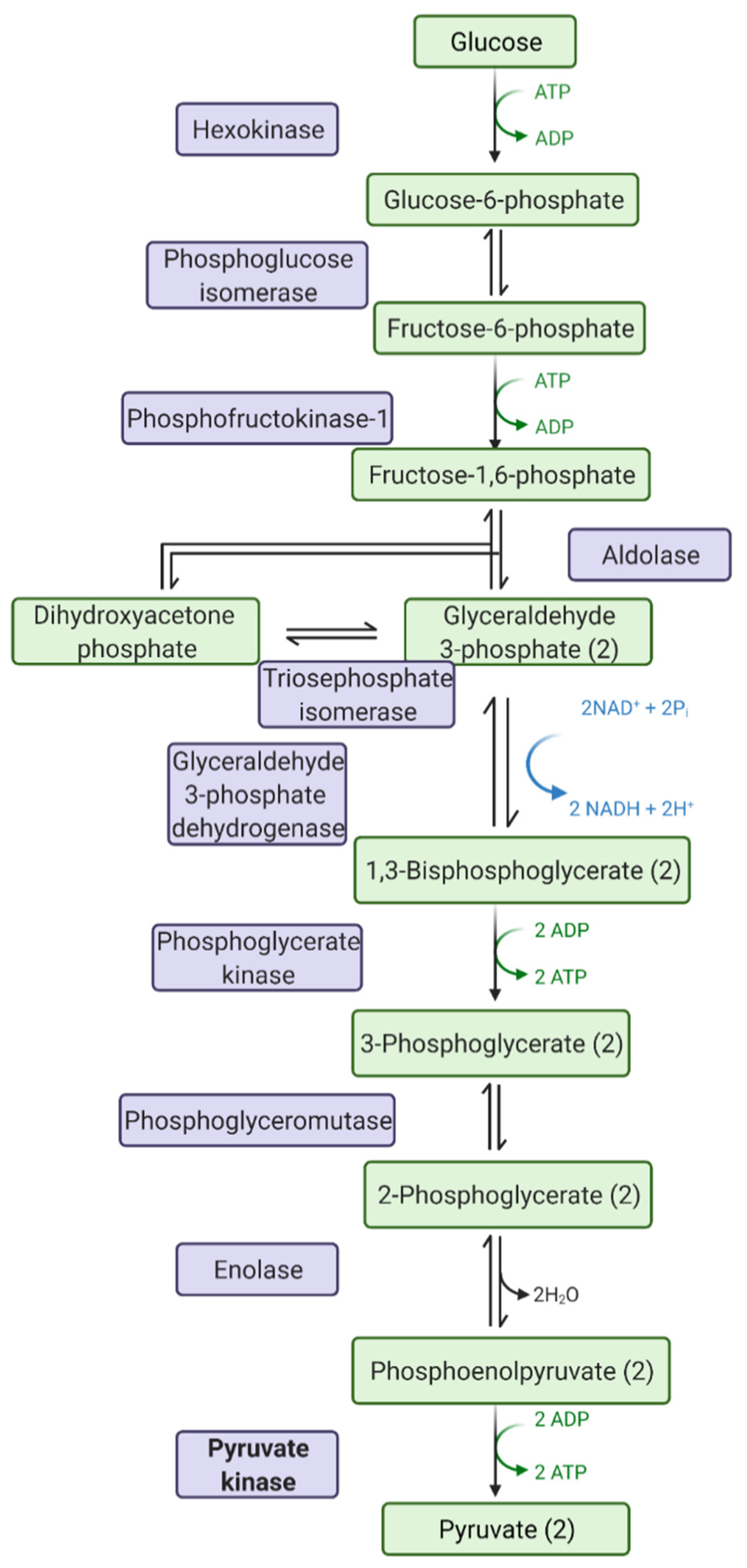 Pathogens 10 00784 g001 Pathogens 10 00784 g001