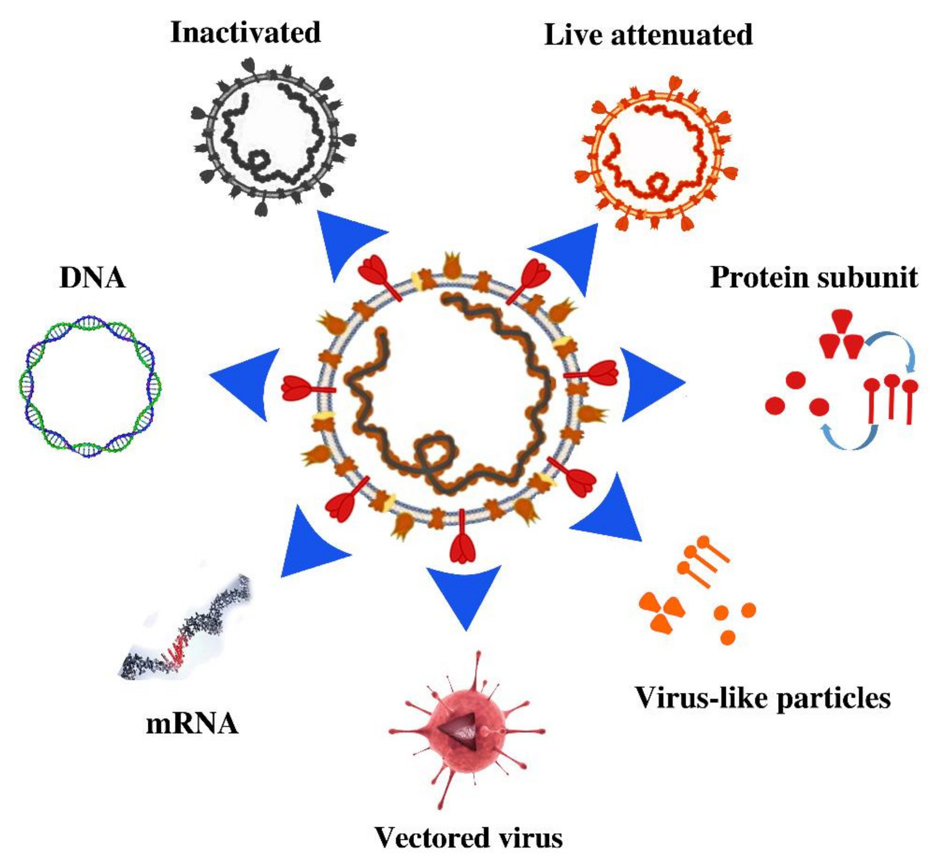 Pathogens 10 00788 g002
