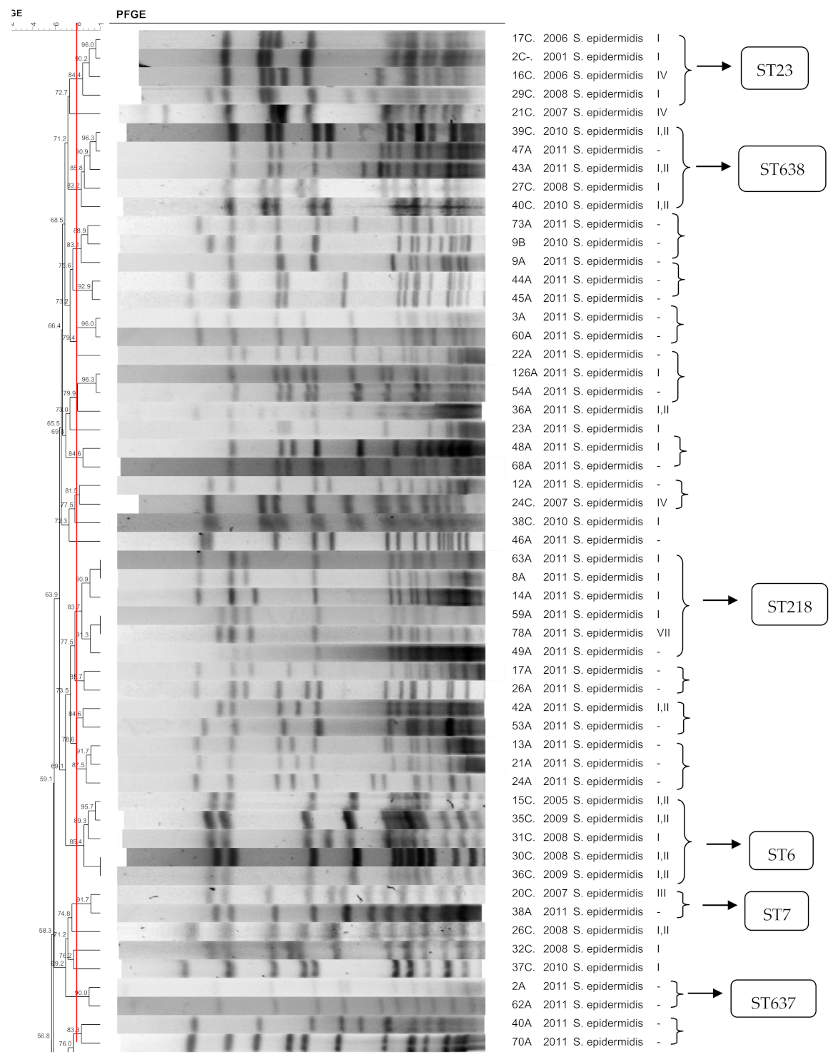 Pathogens 10 00792 g001a