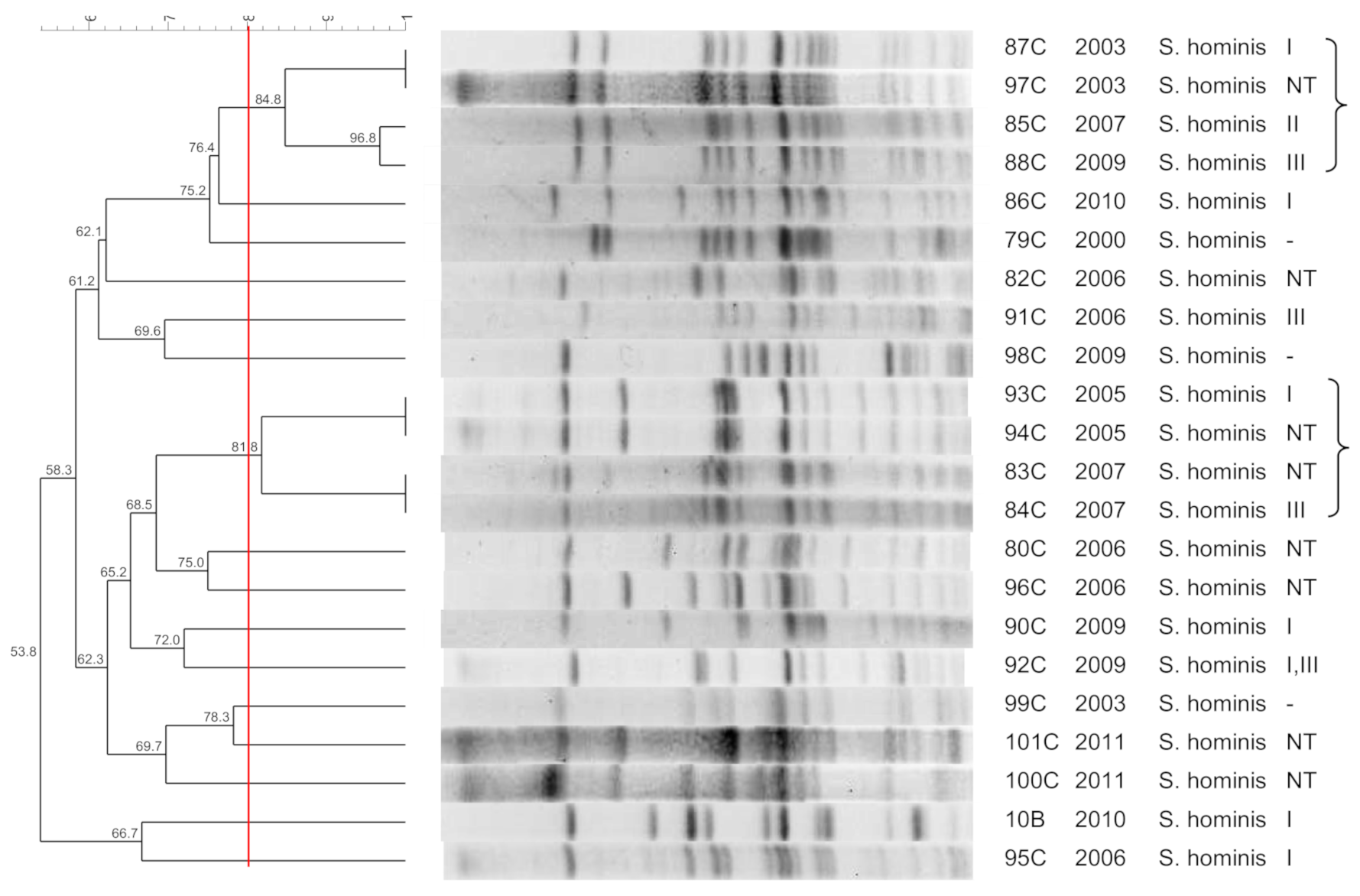 Pathogens 10 00792 g004