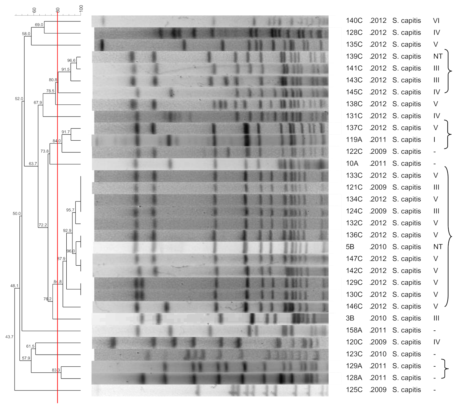 Pathogens 10 00792 g005
