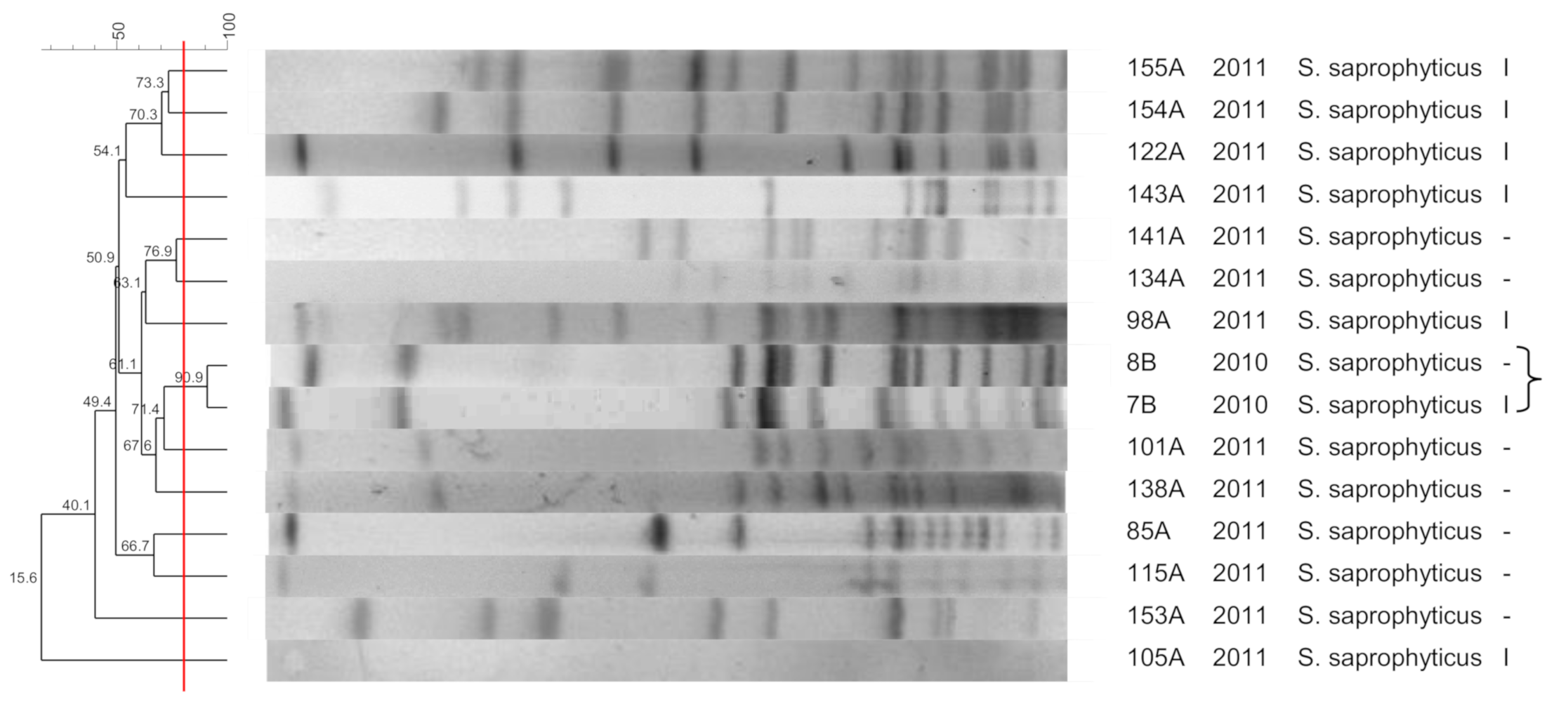 Pathogens 10 00792 g007