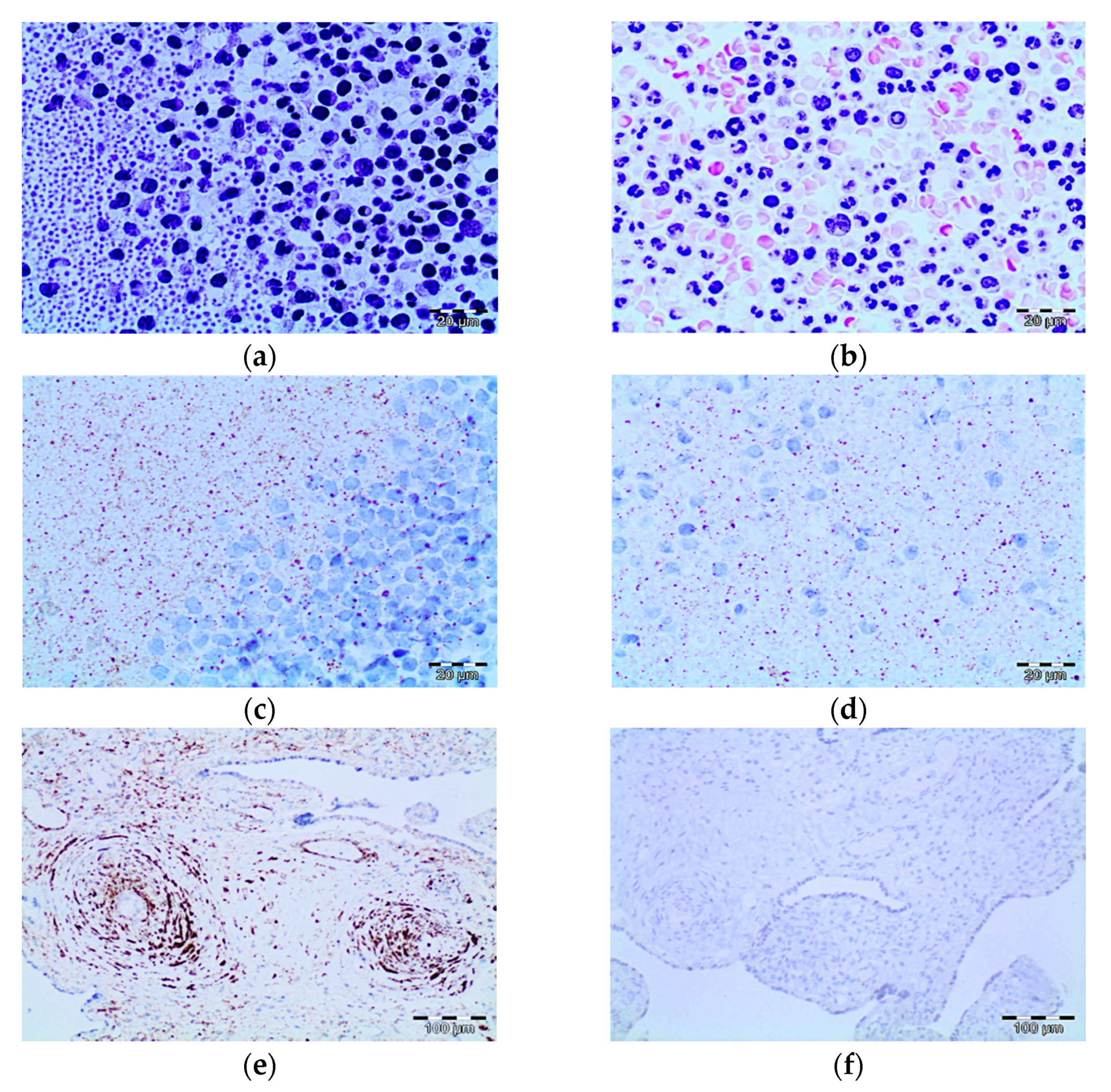 Pathogens 10 00805 g005