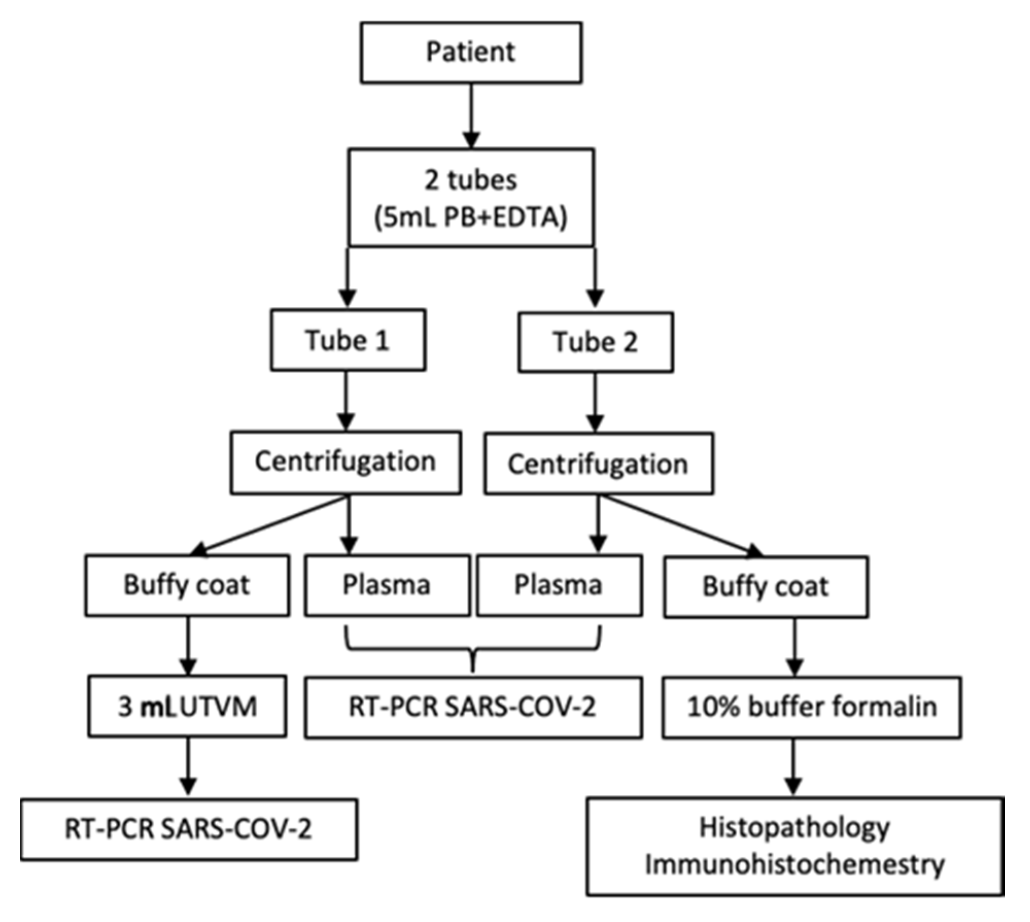 Pathogens 10 00805 sch001