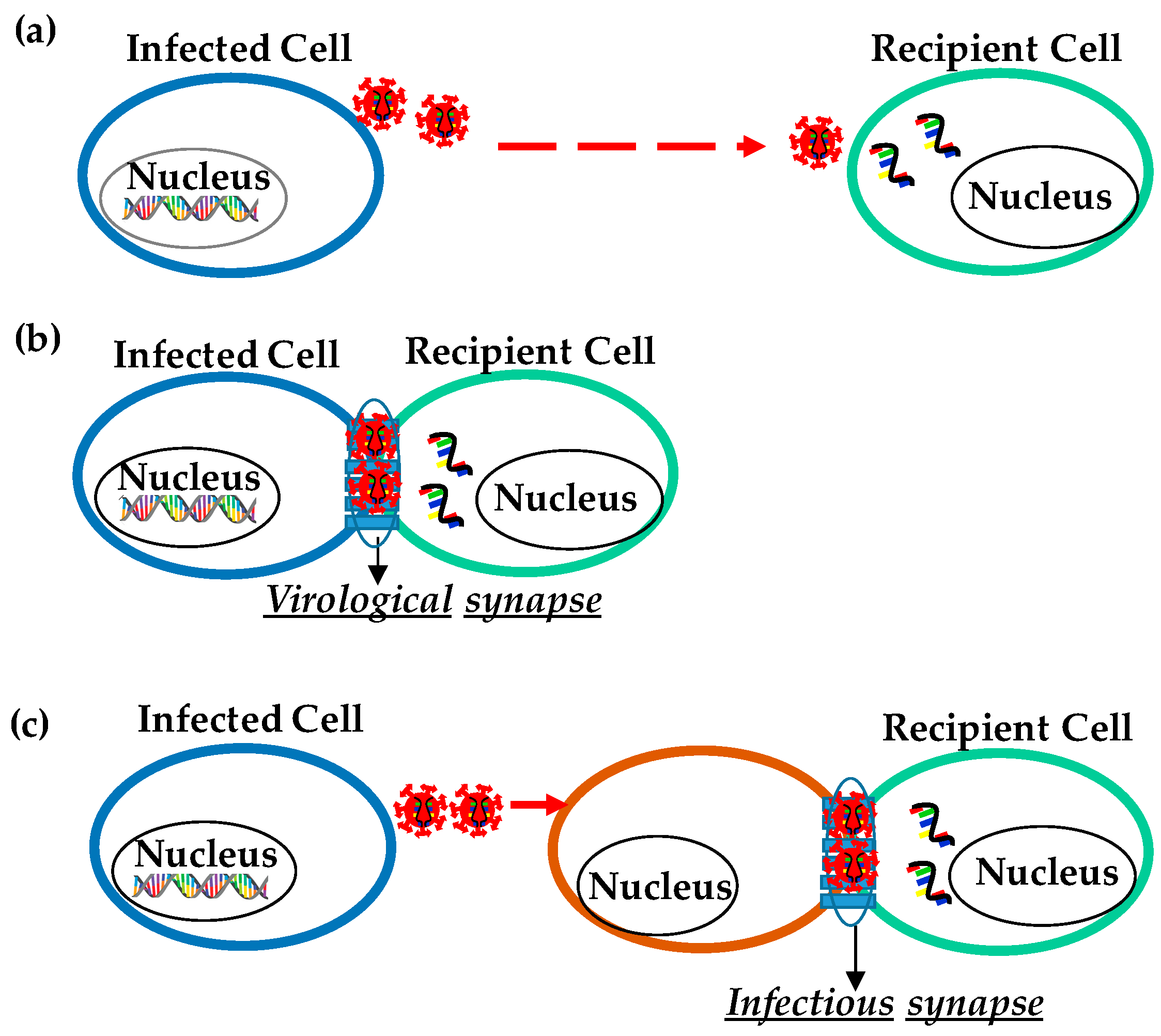 Pathogens 10 00806 g001