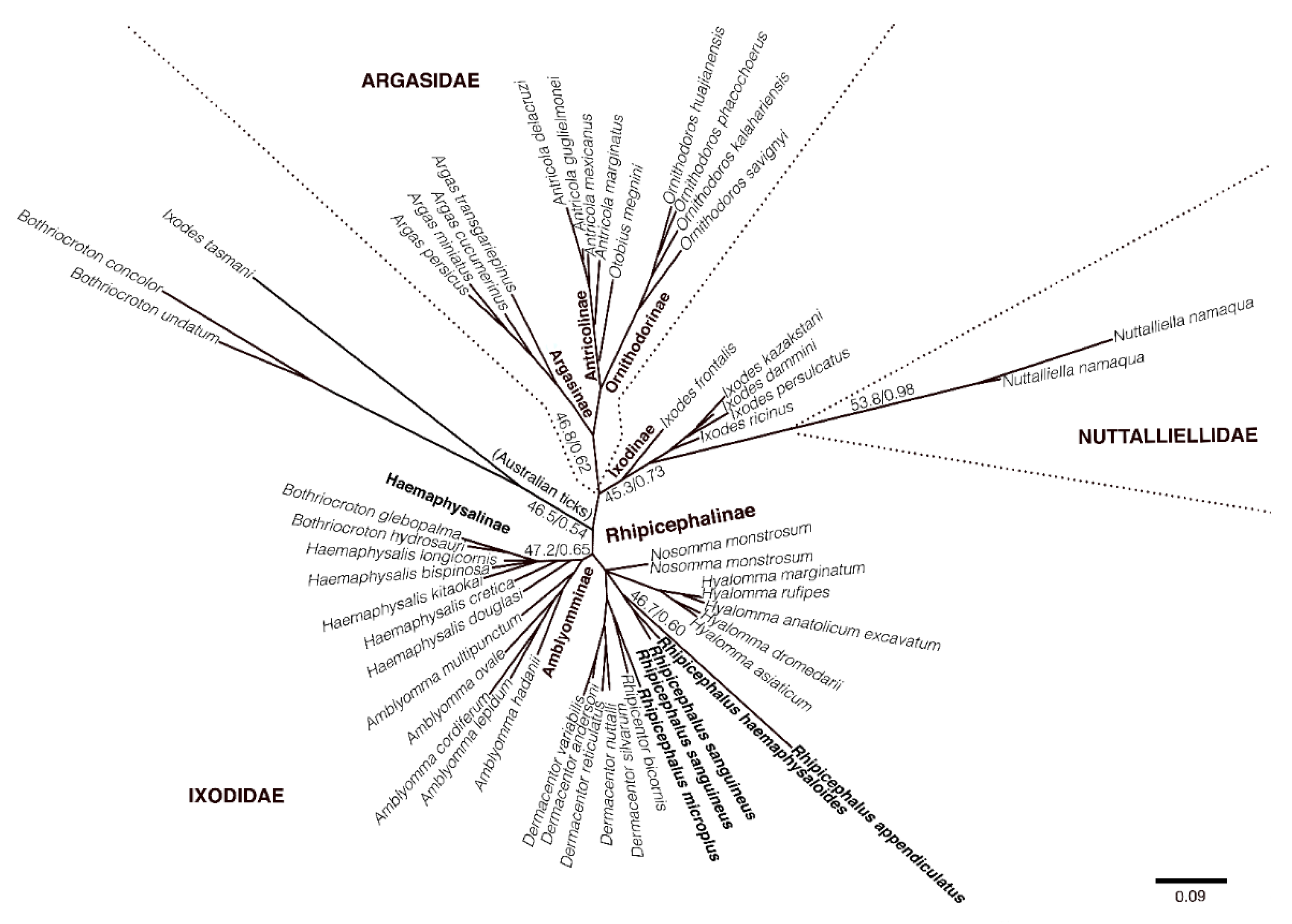 Pathogens 10 00821 g002