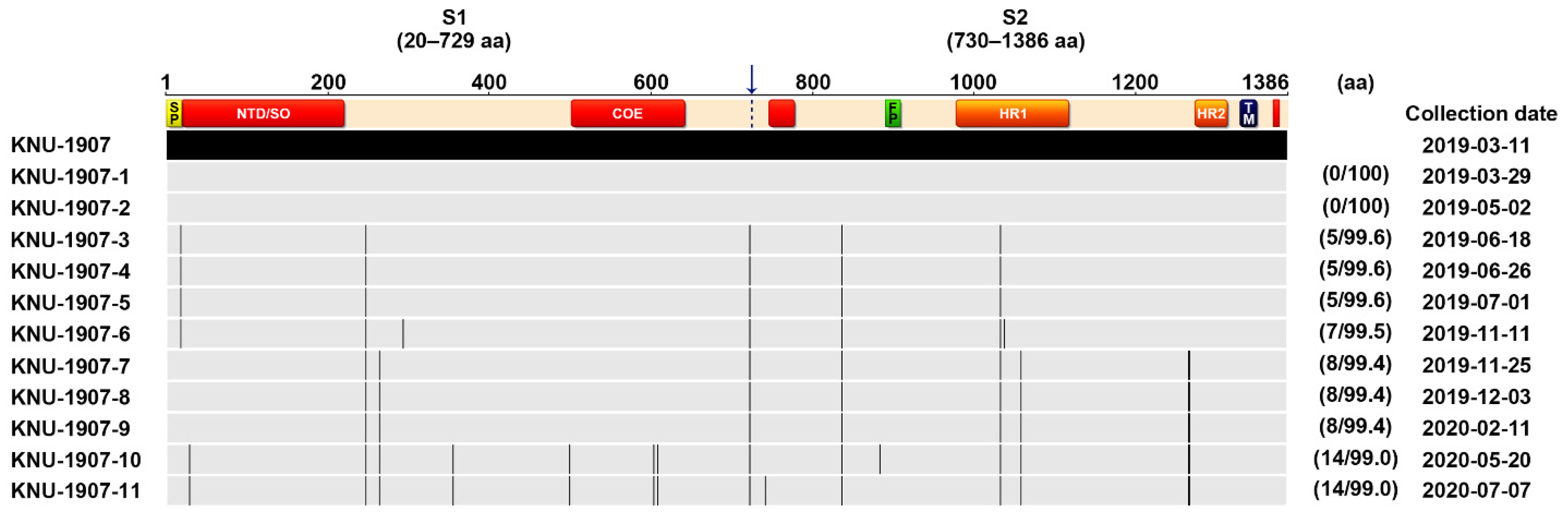 Pathogens 10 00830 g010
