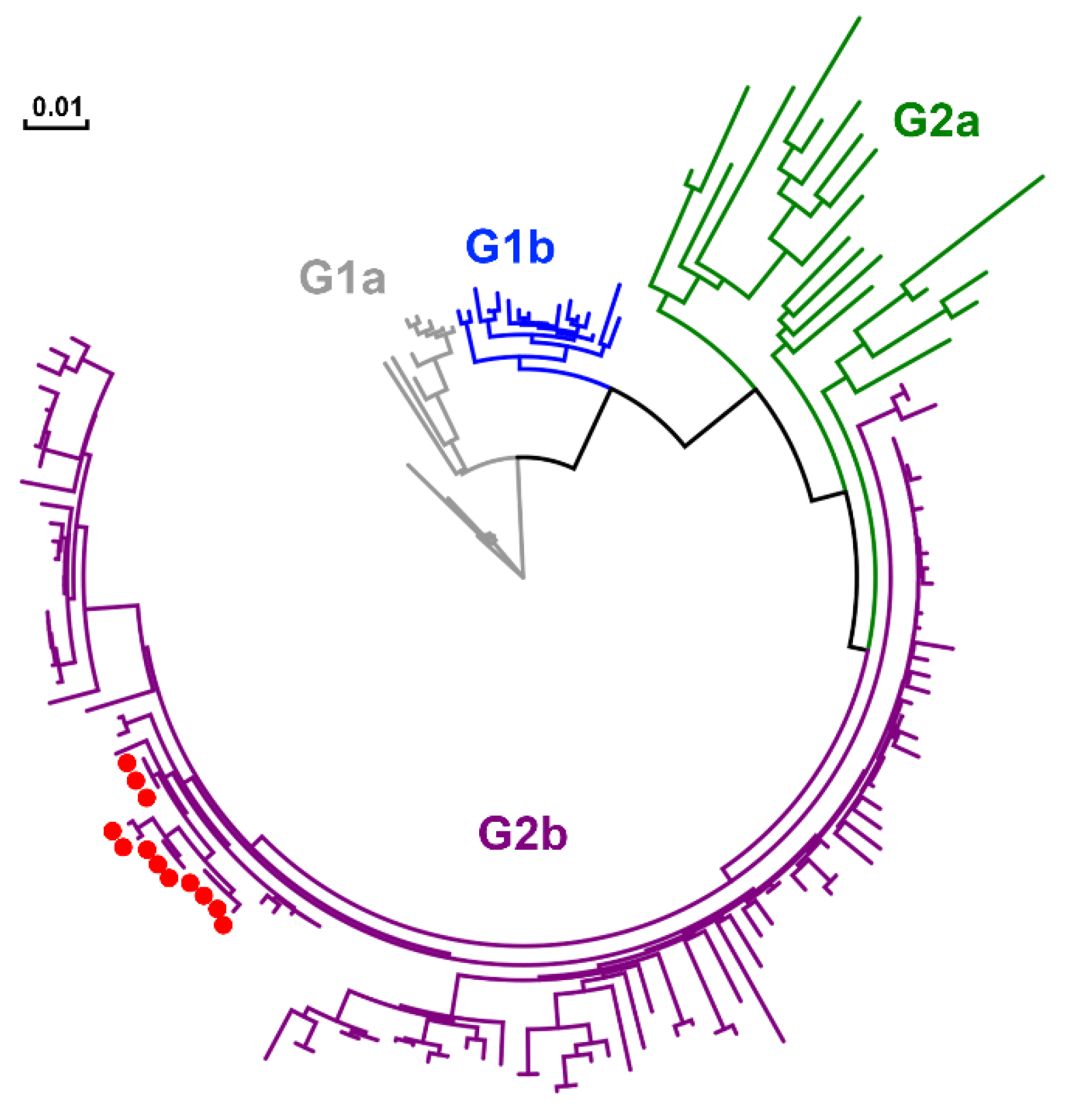 Pathogens 10 00830 g011
