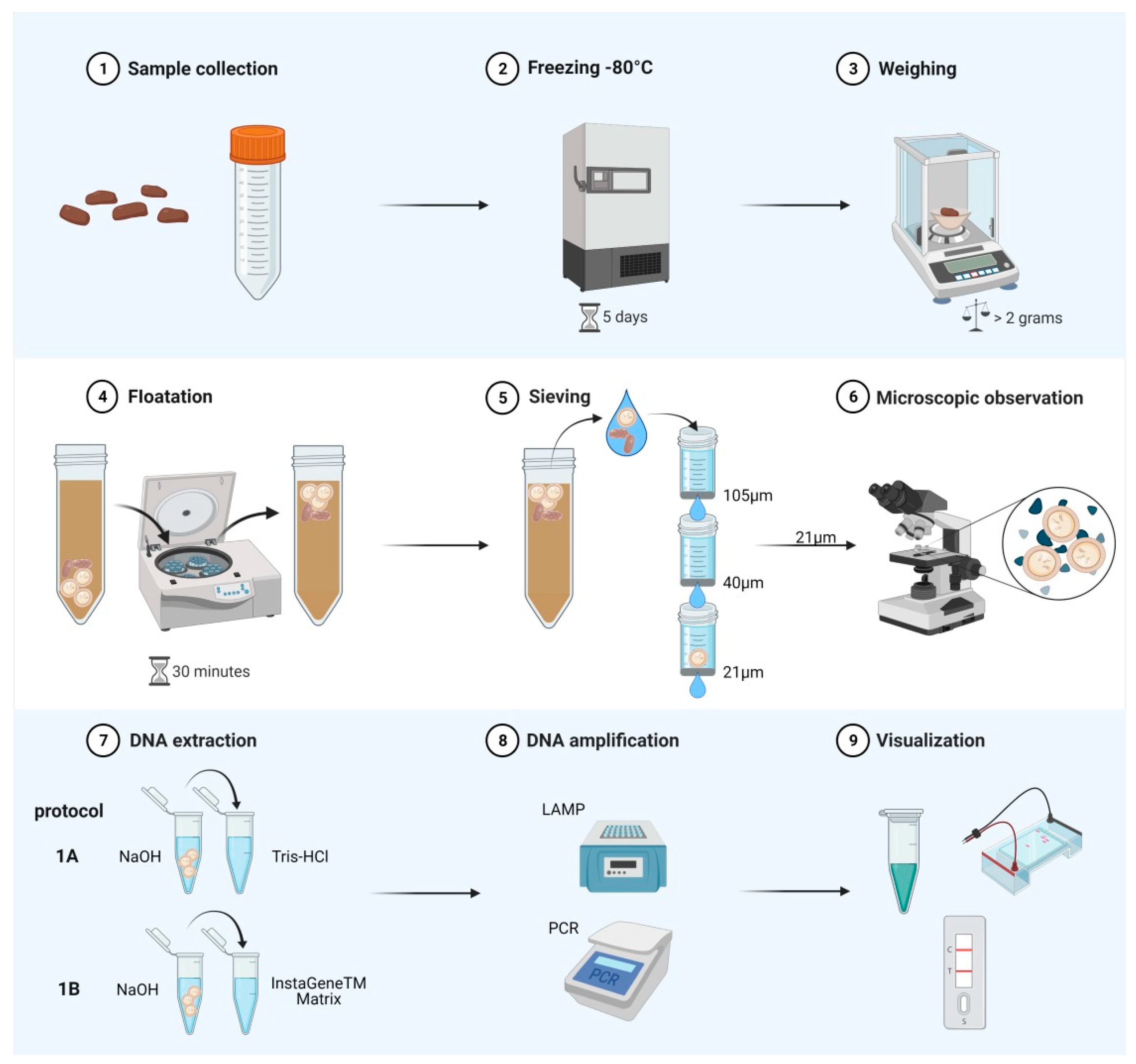 Pathogens 10 00847 g001 Pathogens 10 00847 g001