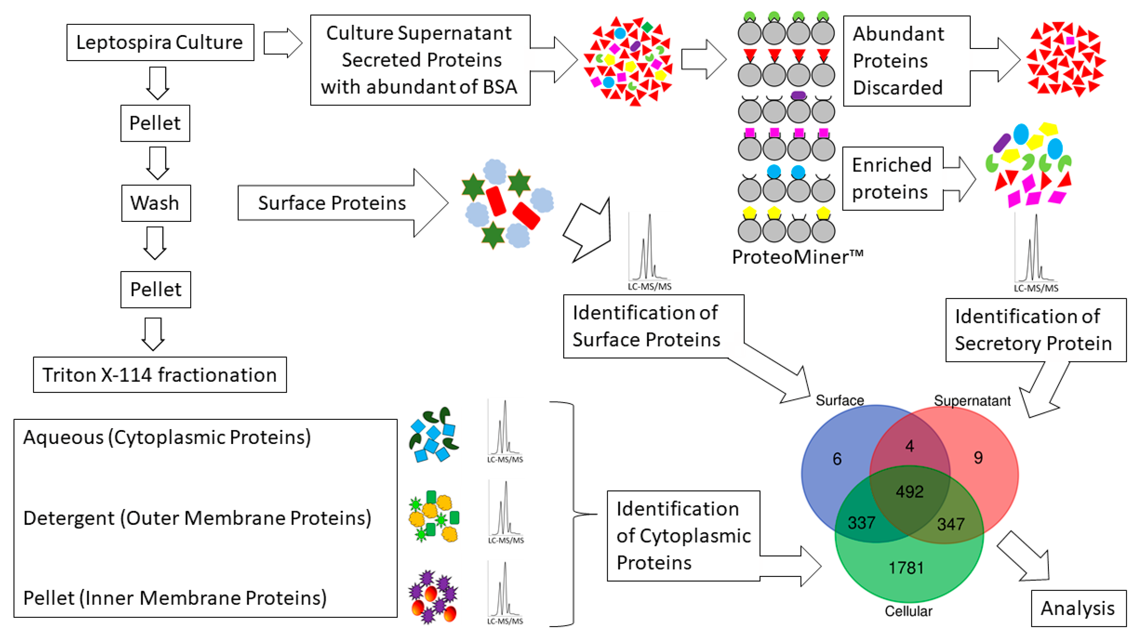 Pathogens 10 00852 g006 Pathogens 10 00852 g006