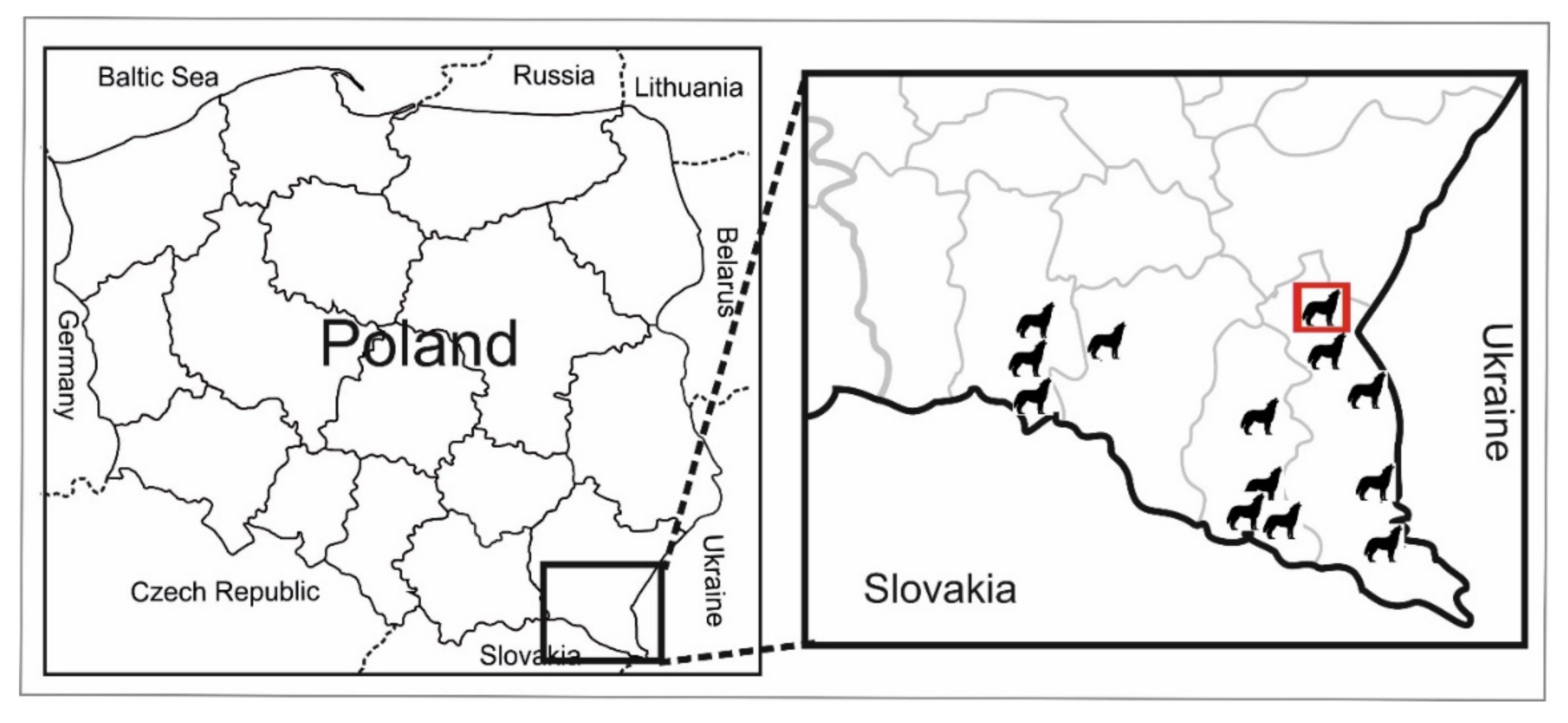 Pathogens 10 00853 g001 Pathogens 10 00853 g001