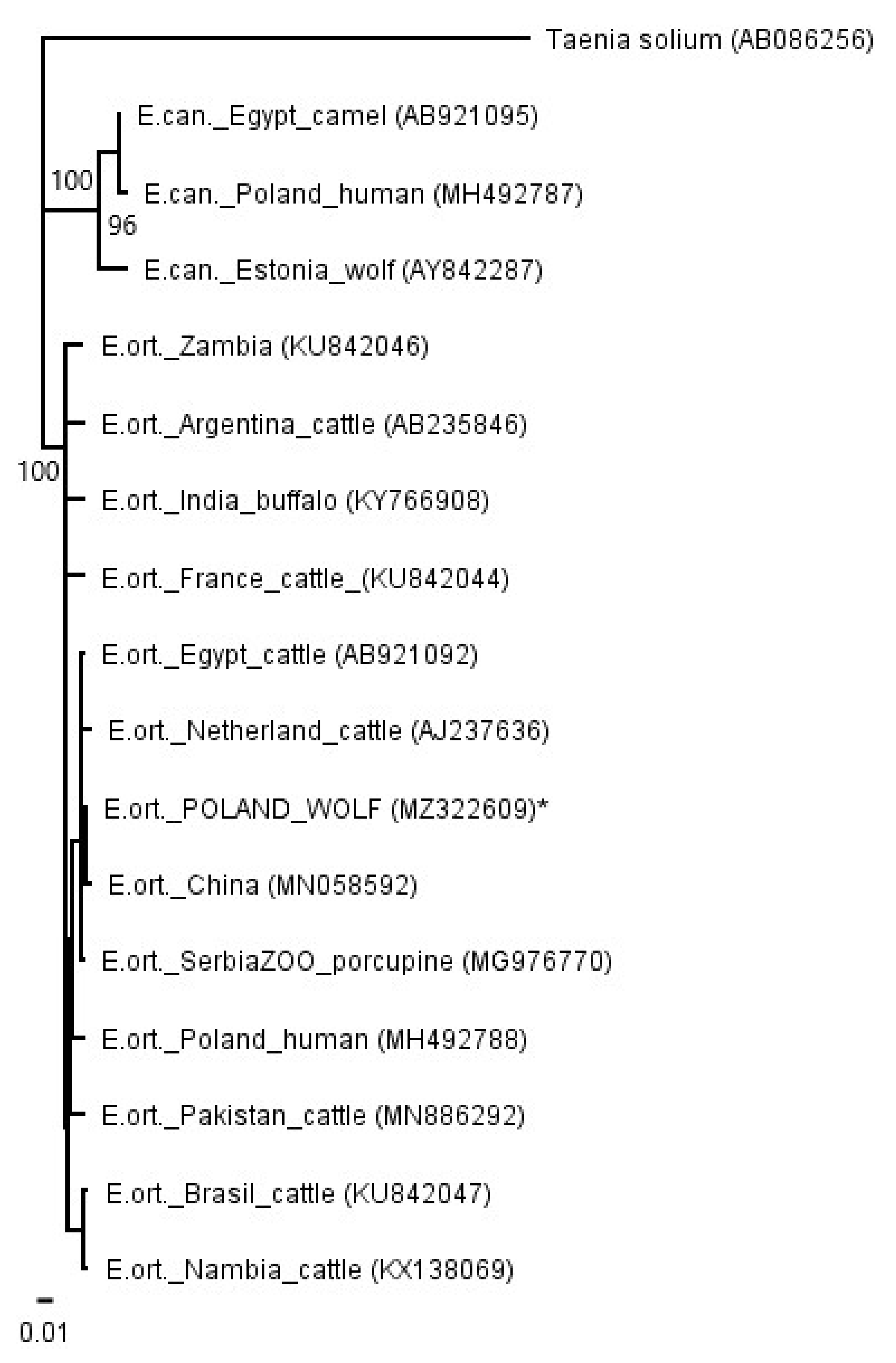 Pathogens 10 00853 g003 Pathogens 10 00853 g003