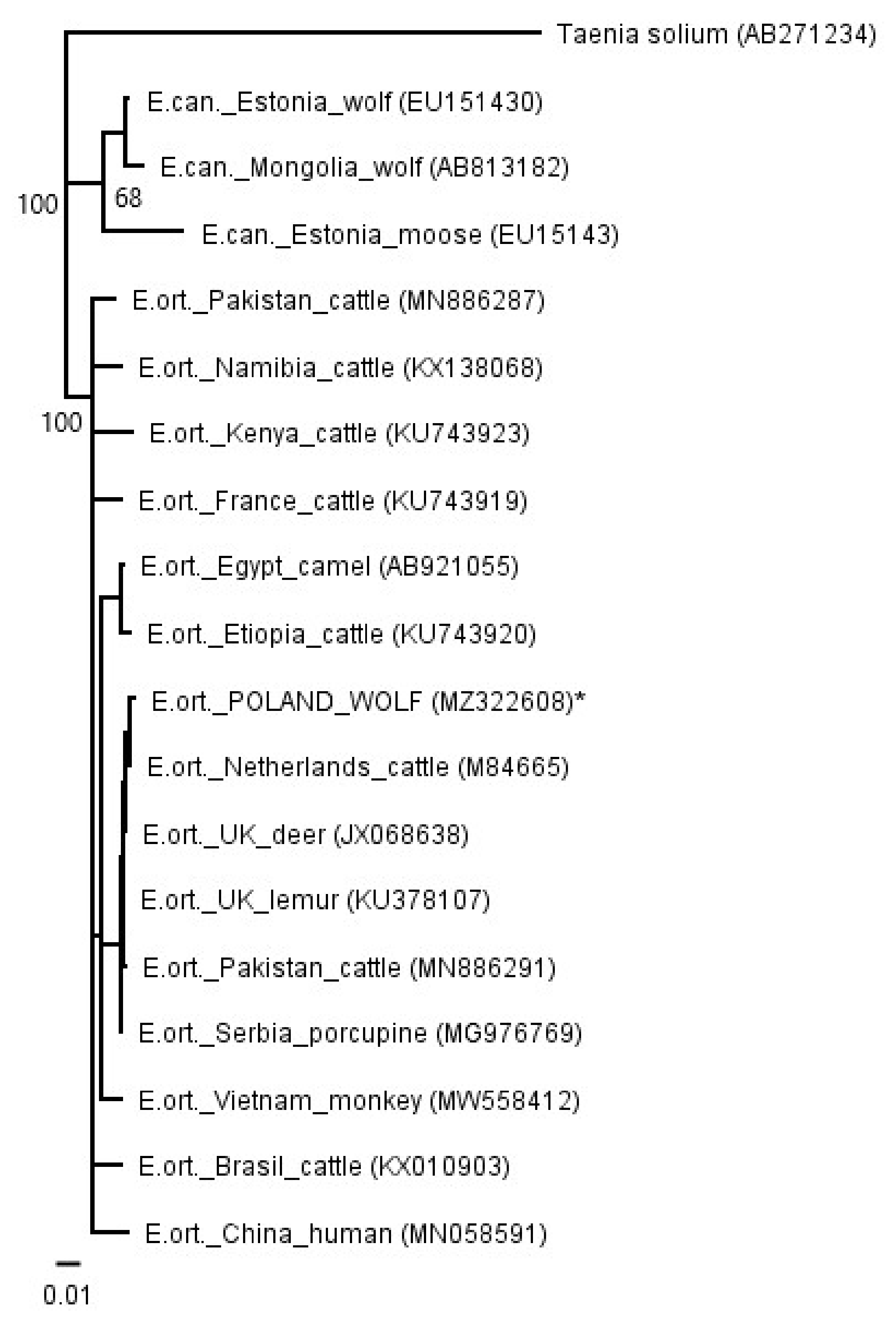 Pathogens 10 00853 g004 Pathogens 10 00853 g004