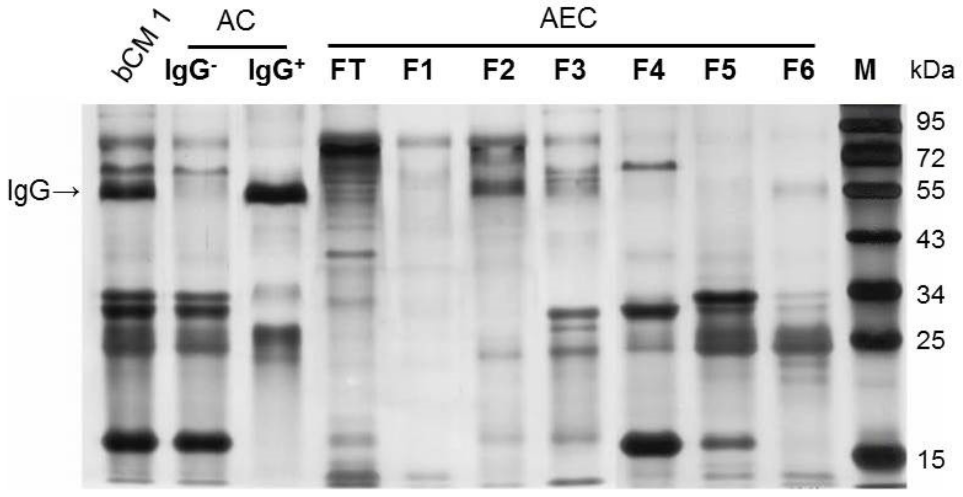 Pathogens 10 00857 g003