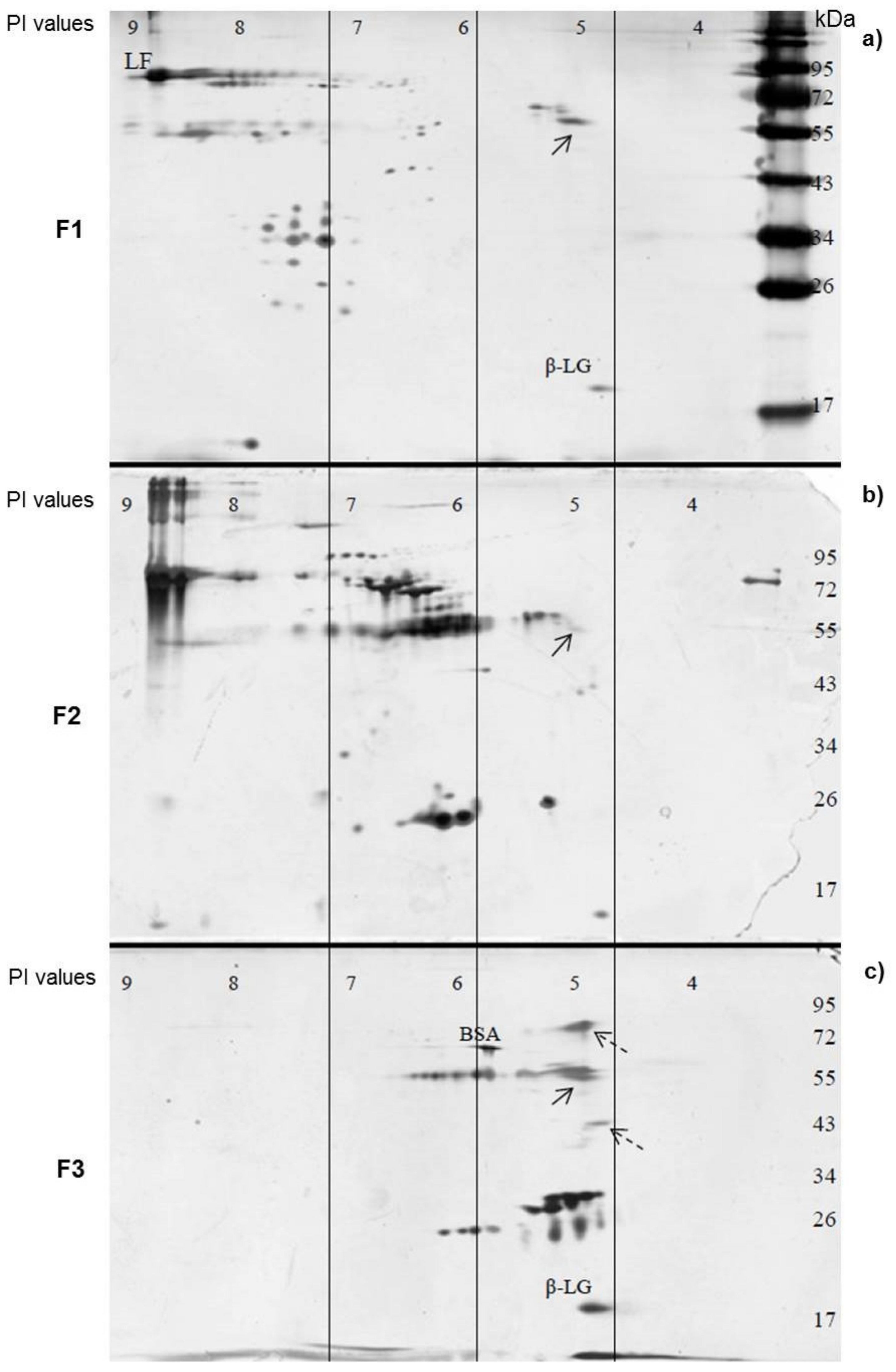 Pathogens 10 00857 g005
