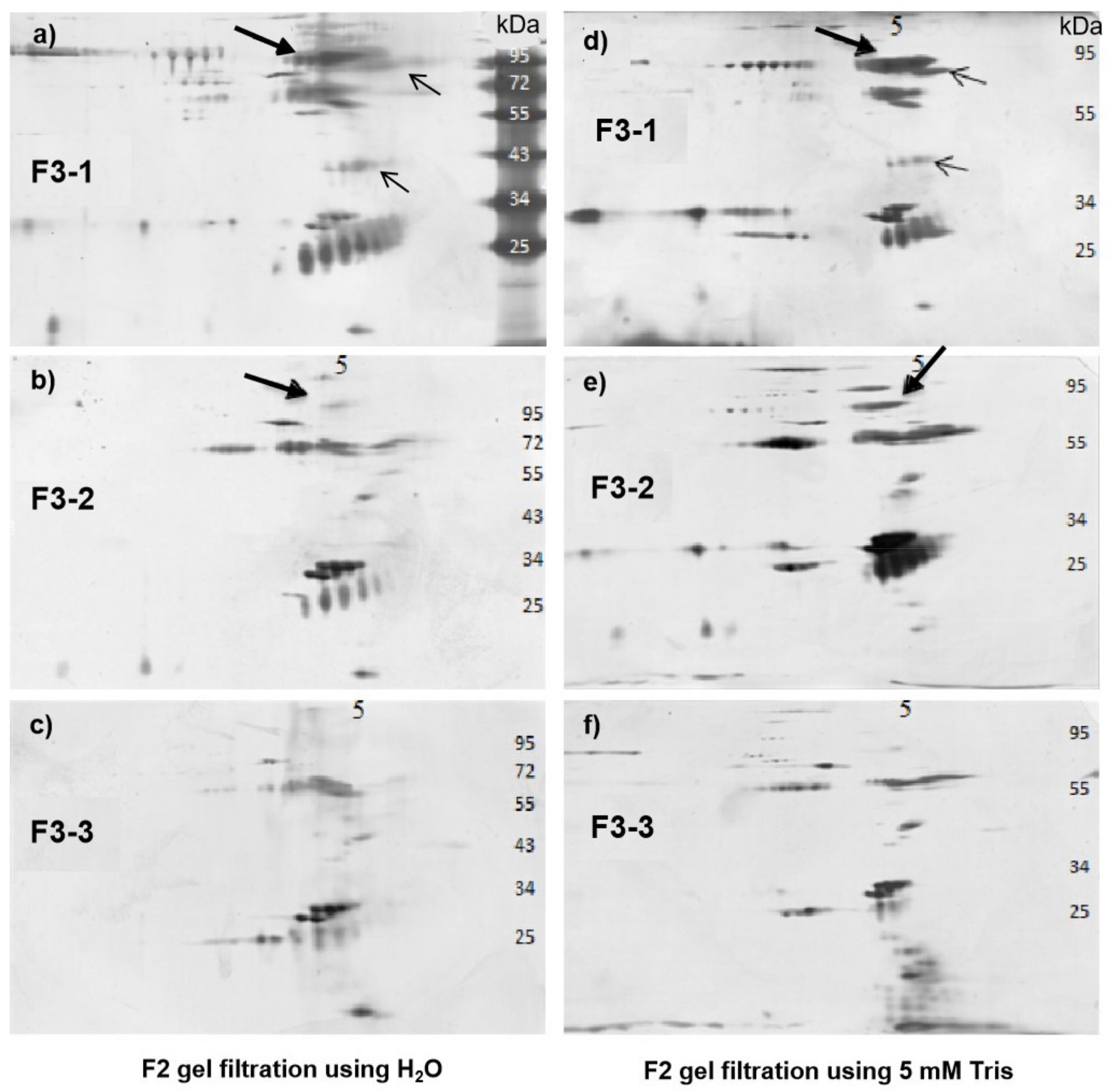 Pathogens 10 00857 g007