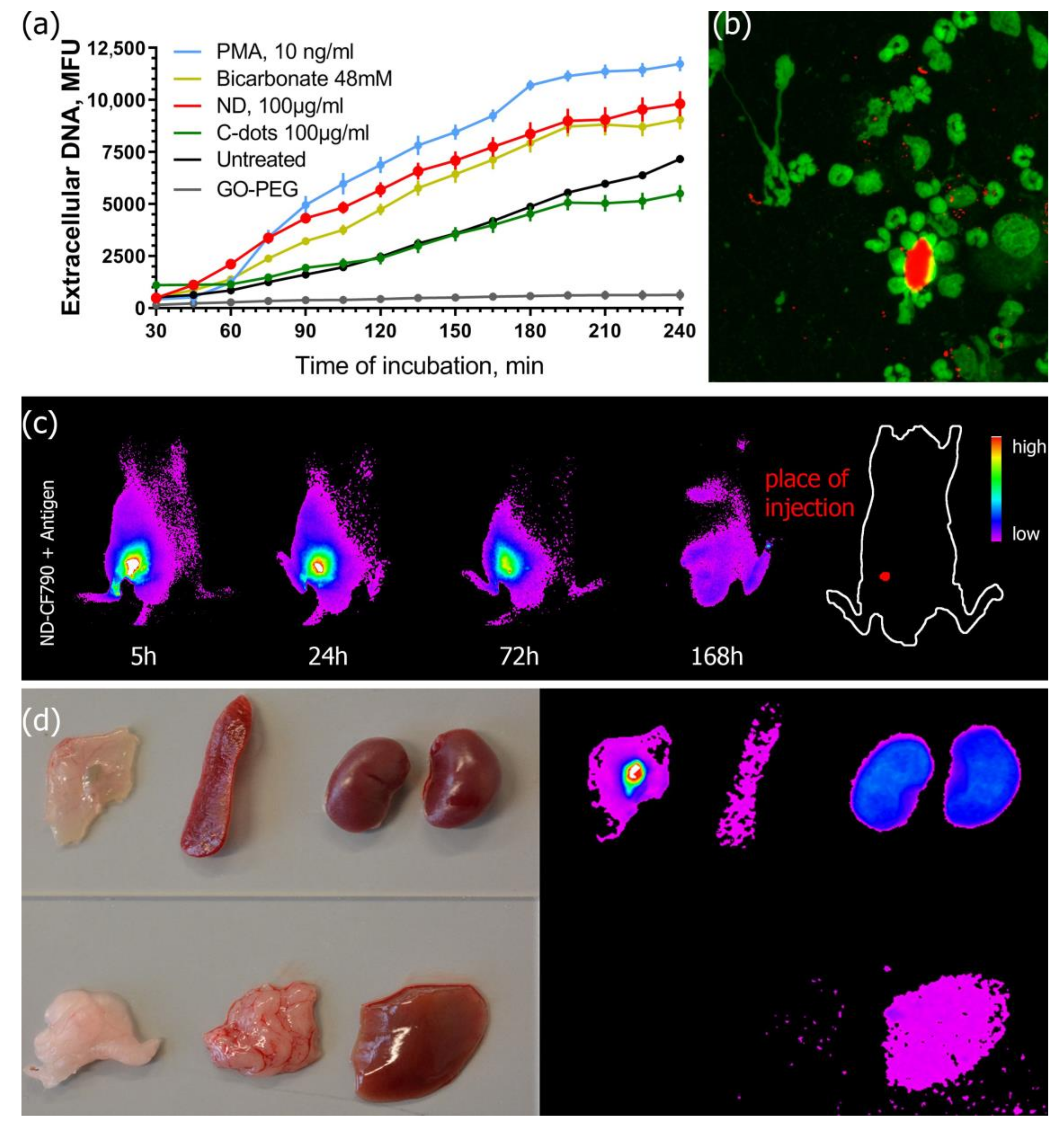 Pathogens 10 00861 g006 Pathogens 10 00861 g006