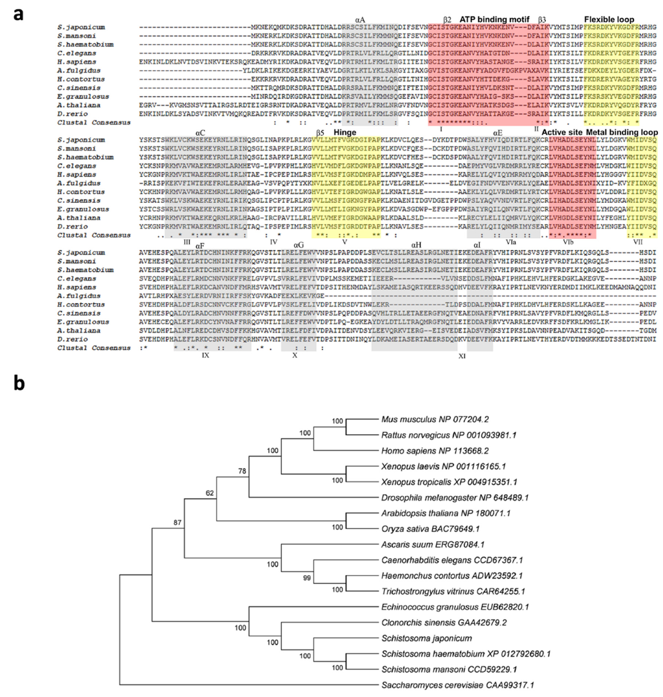 Pathogens 10 00862 g001