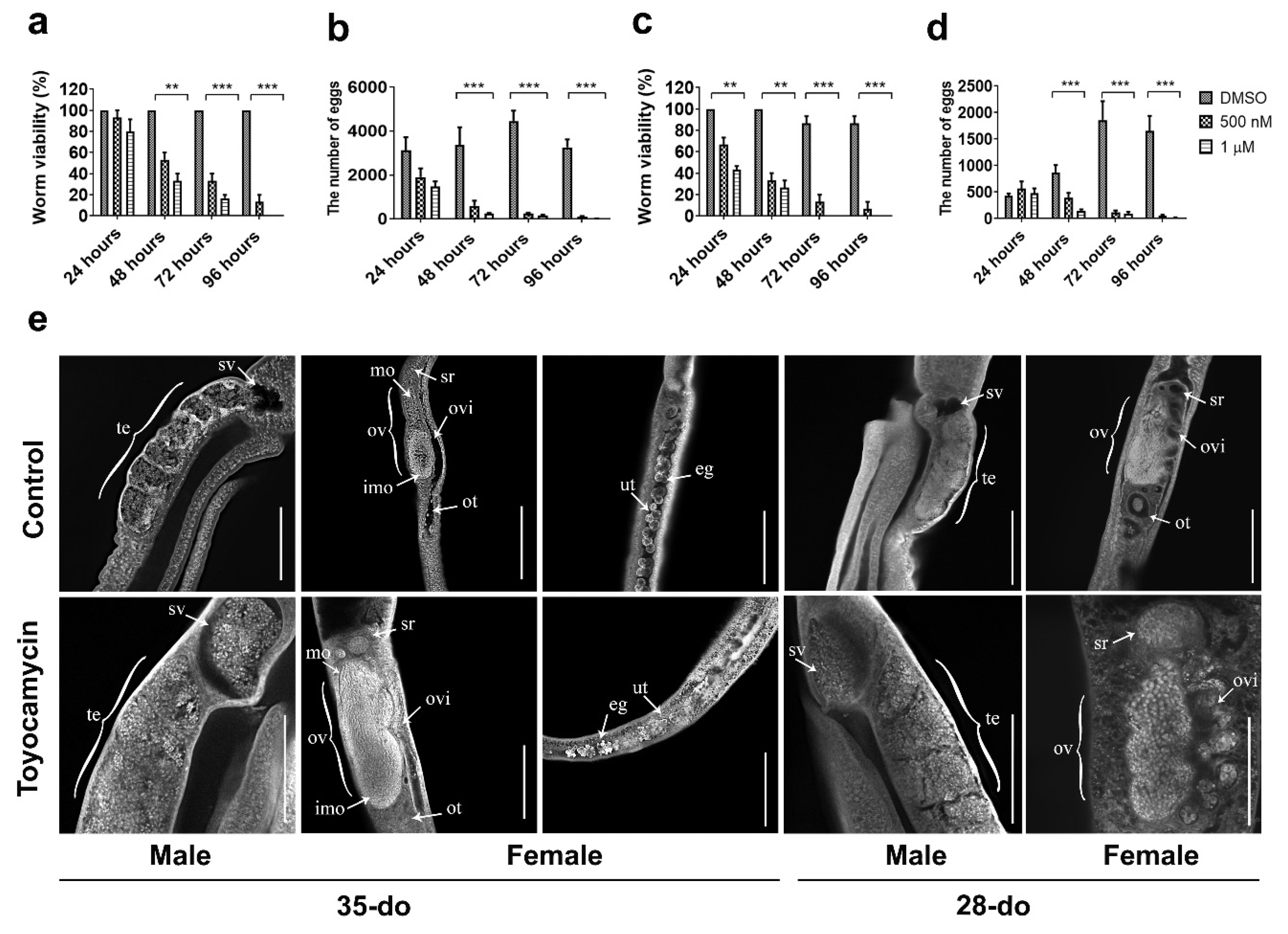 Pathogens 10 00862 g004