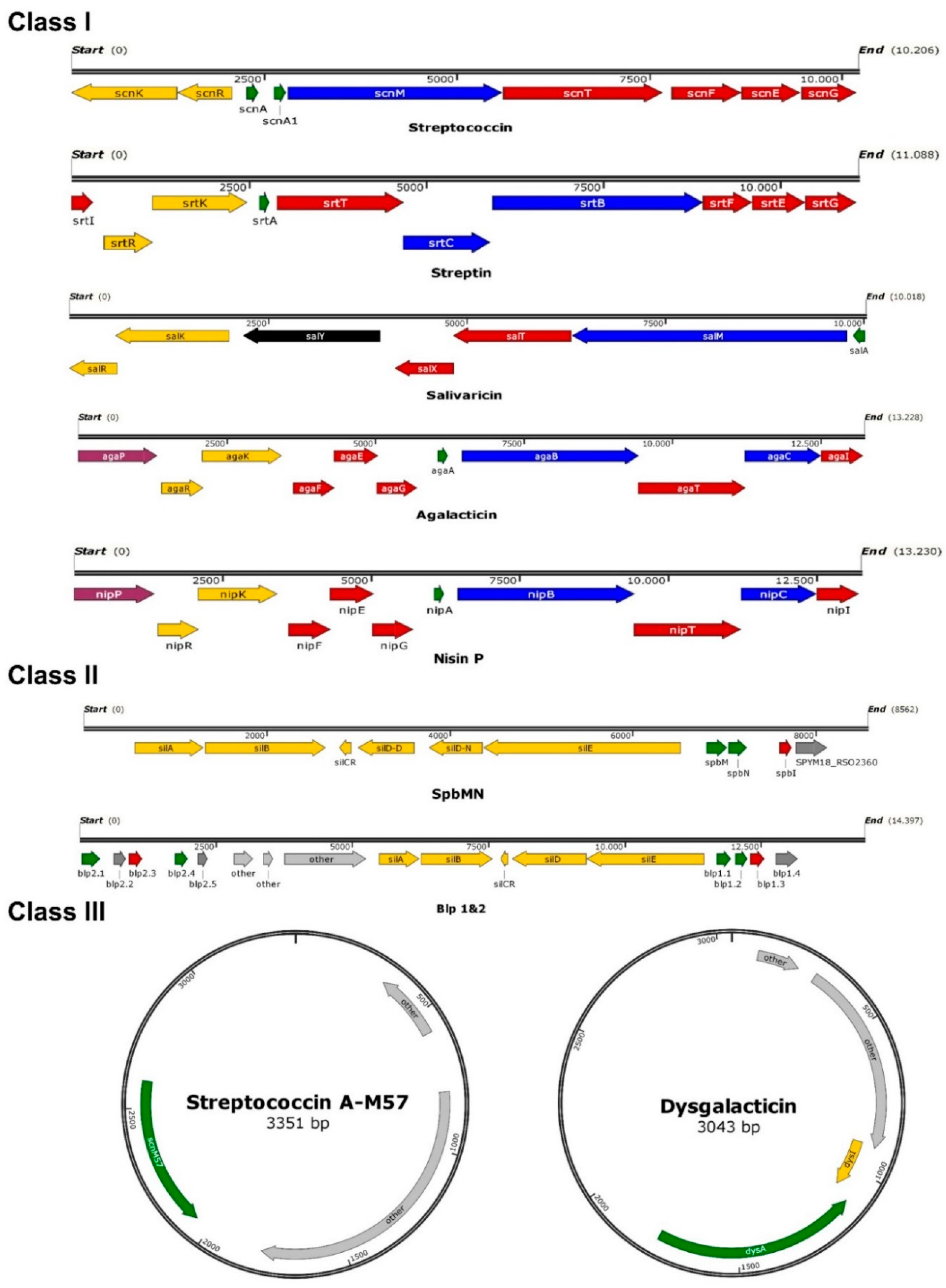 Pathogens 10 00867 g001 Pathogens 10 00867 g001