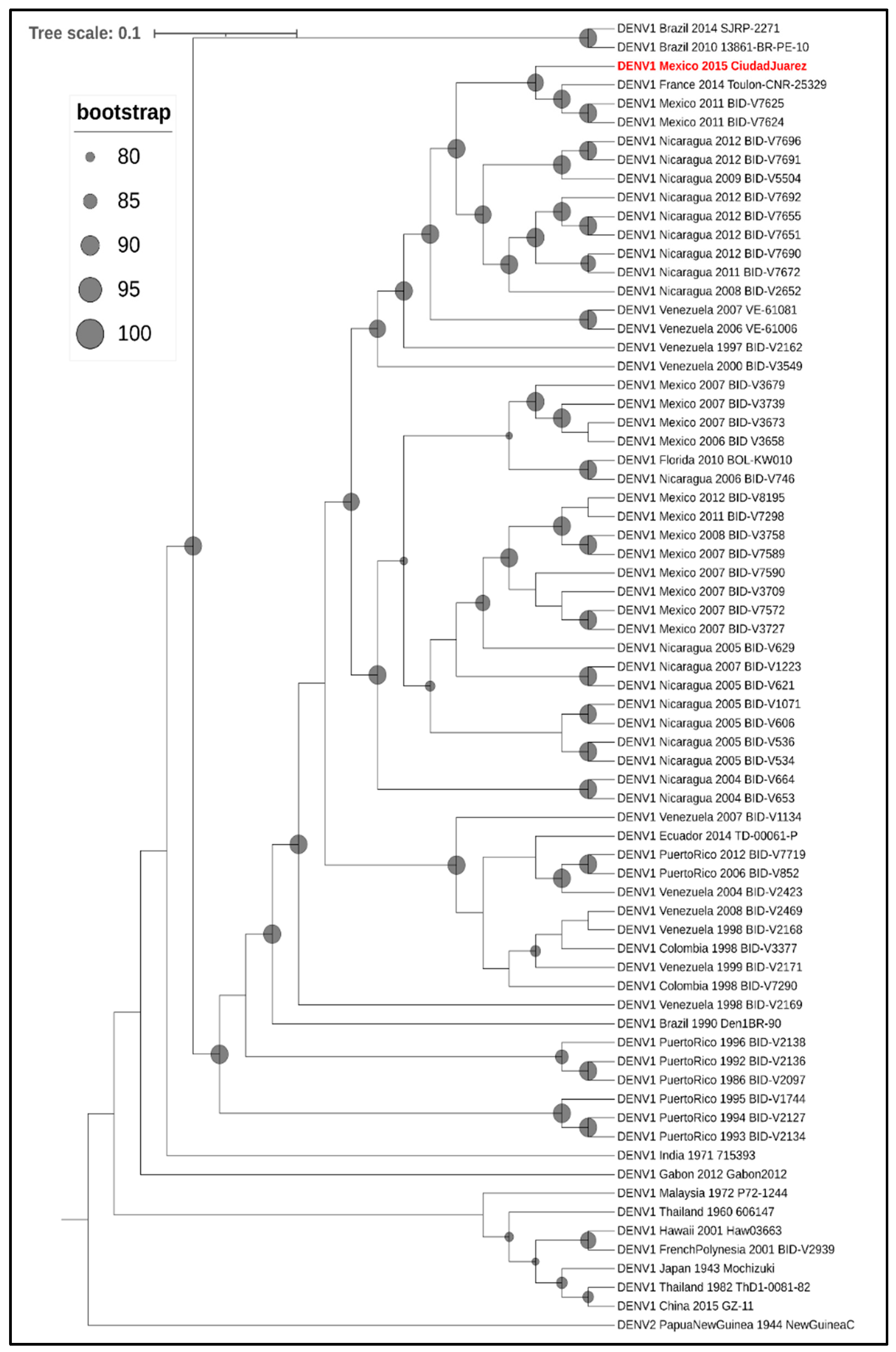 Pathogens 10 00872 g004