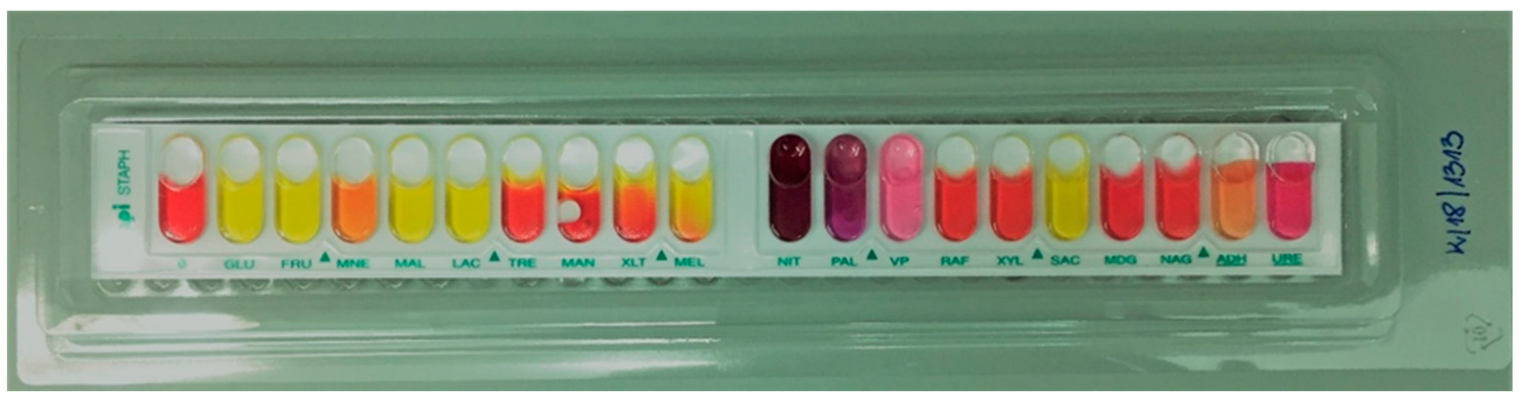 Pathogens 10 00877 g001 Pathogens 10 00877 g001