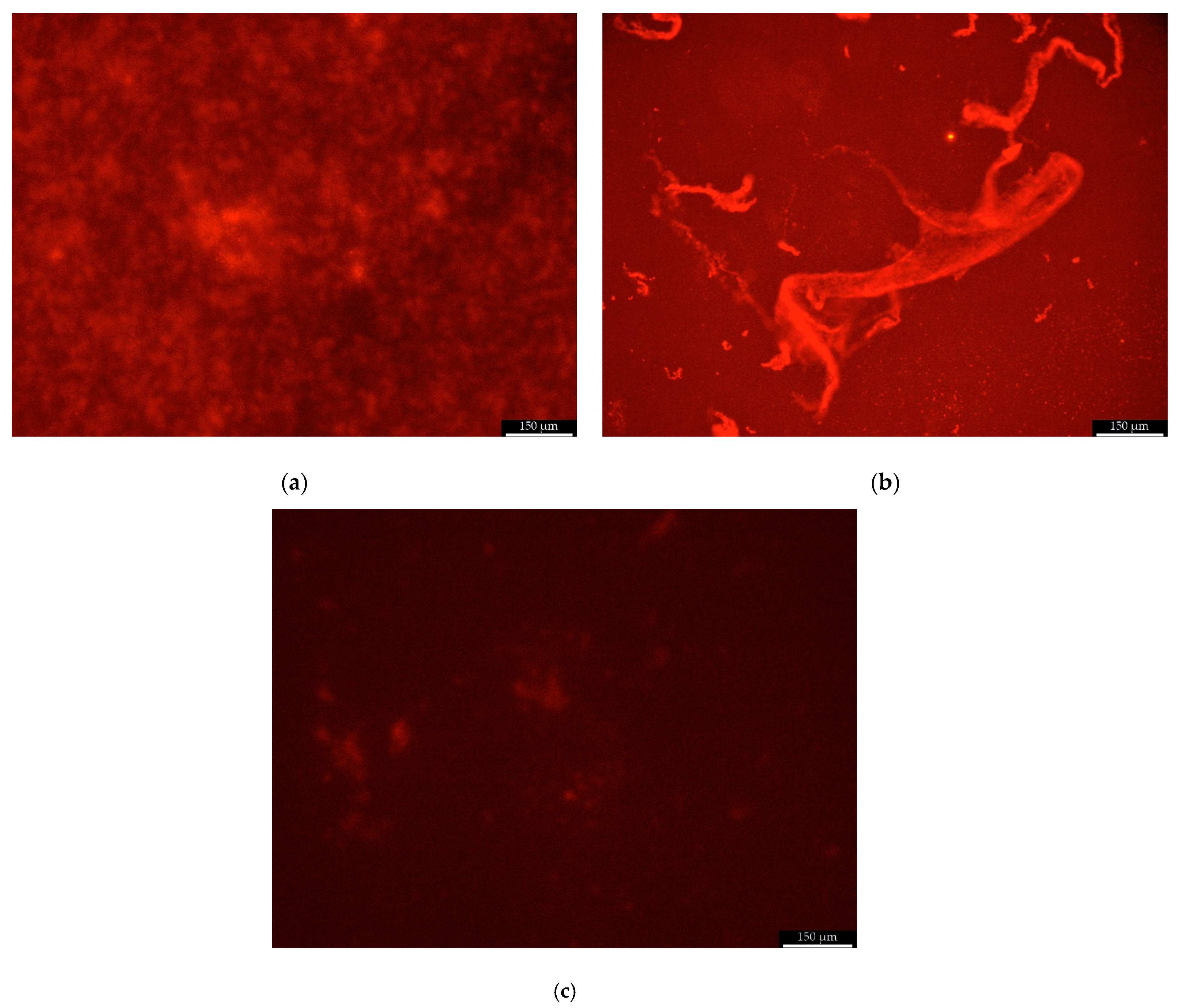 Pathogens 10 00877 g007 Pathogens 10 00877 g007