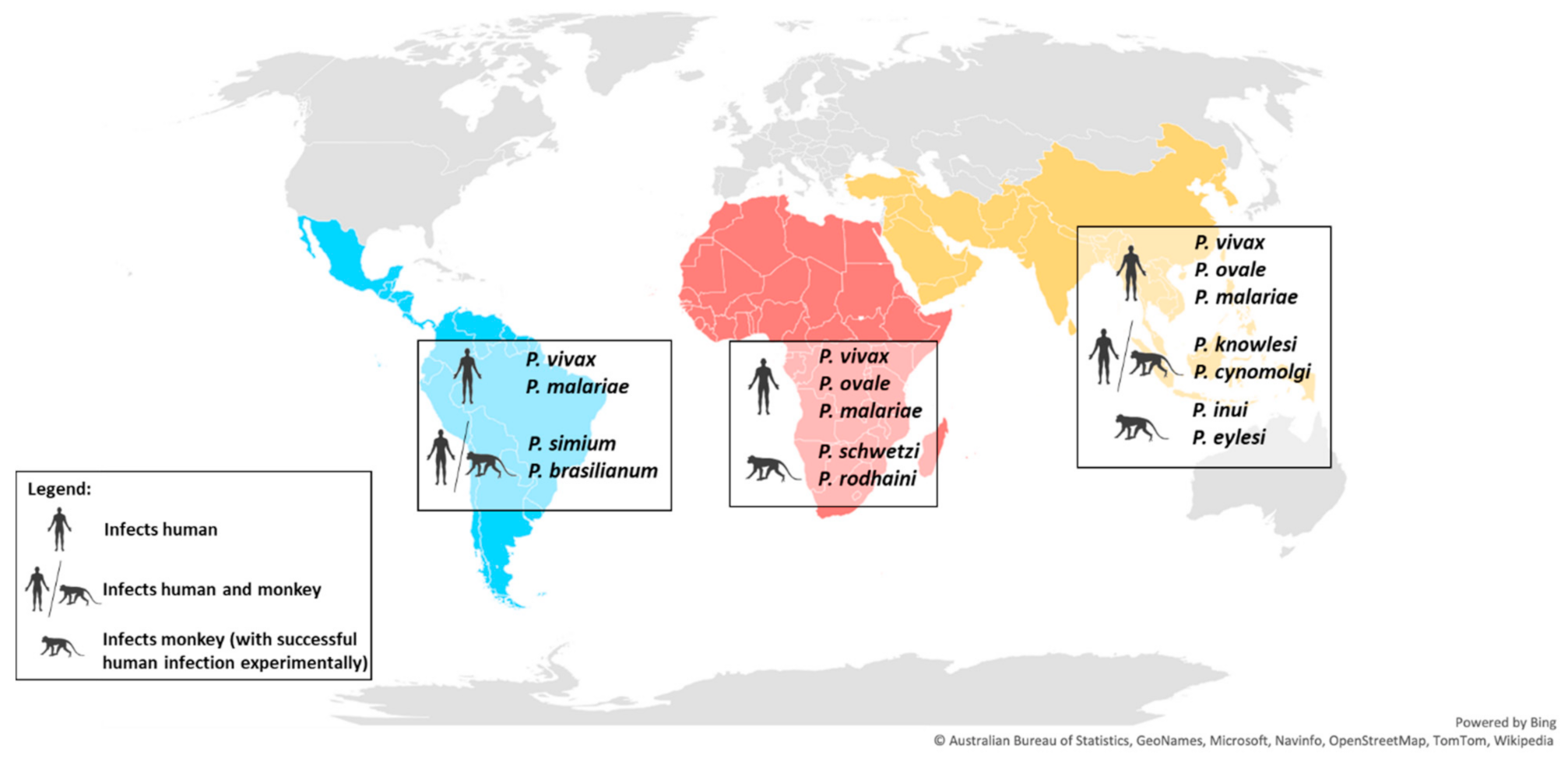 Pathogens 10 00889 g002 Pathogens 10 00889 g002