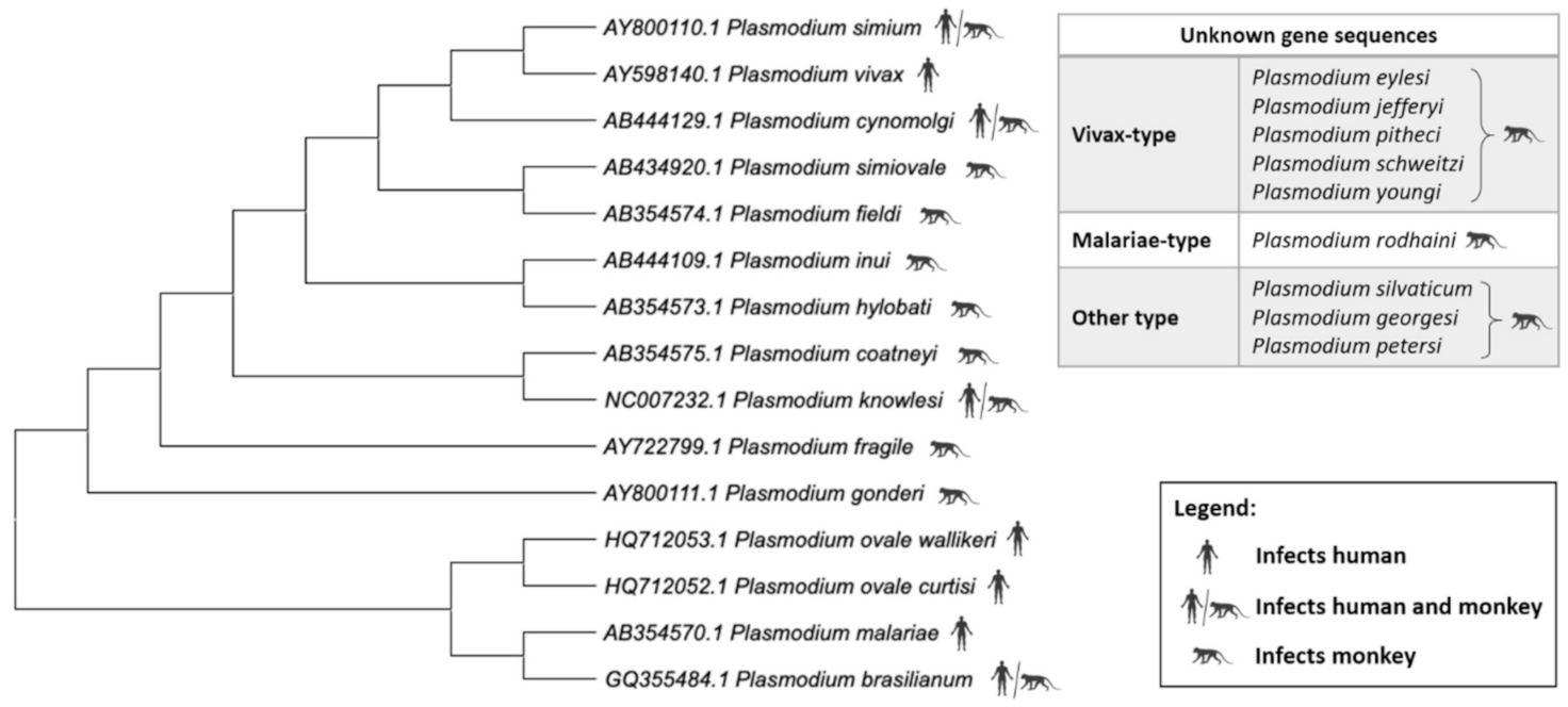 Pathogens 10 00889 g003 Pathogens 10 00889 g003