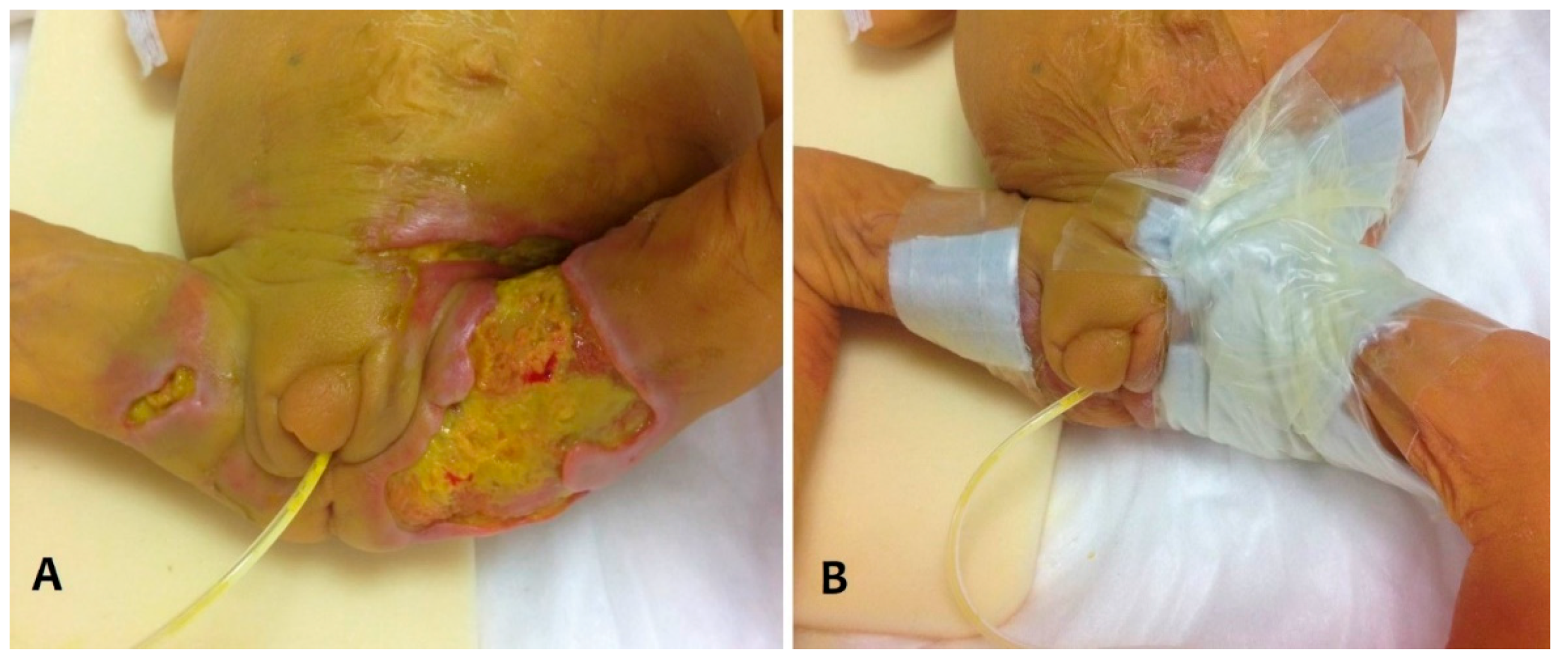 Pathogens 10 00890 g002