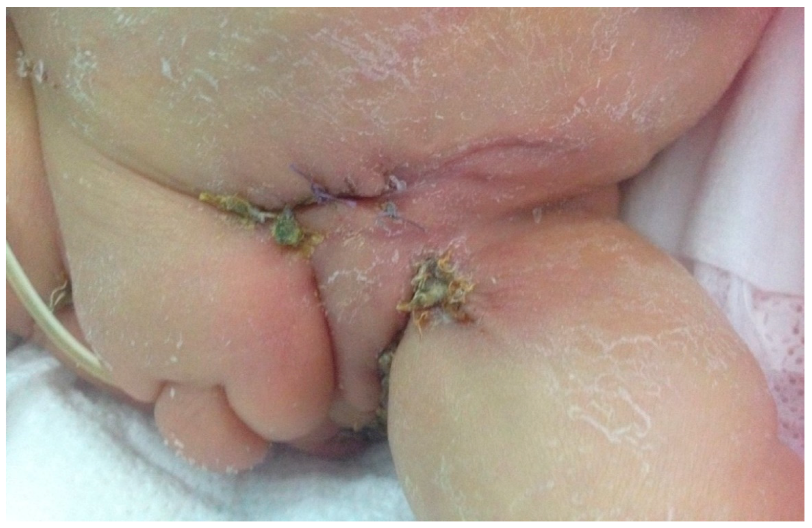 Pathogens 10 00890 g003