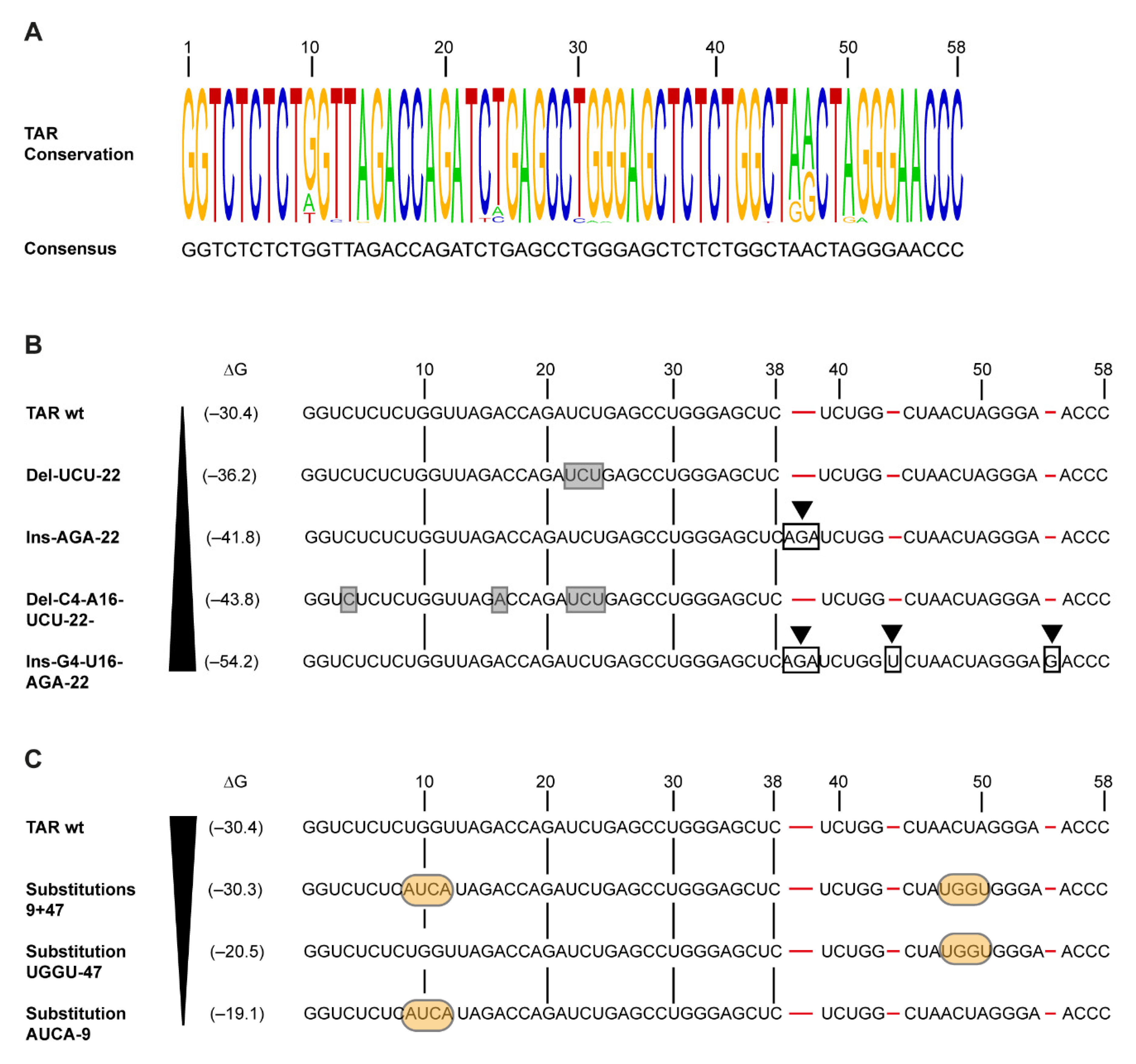 Pathogens 10 00897 g001 Pathogens 10 00897 g001