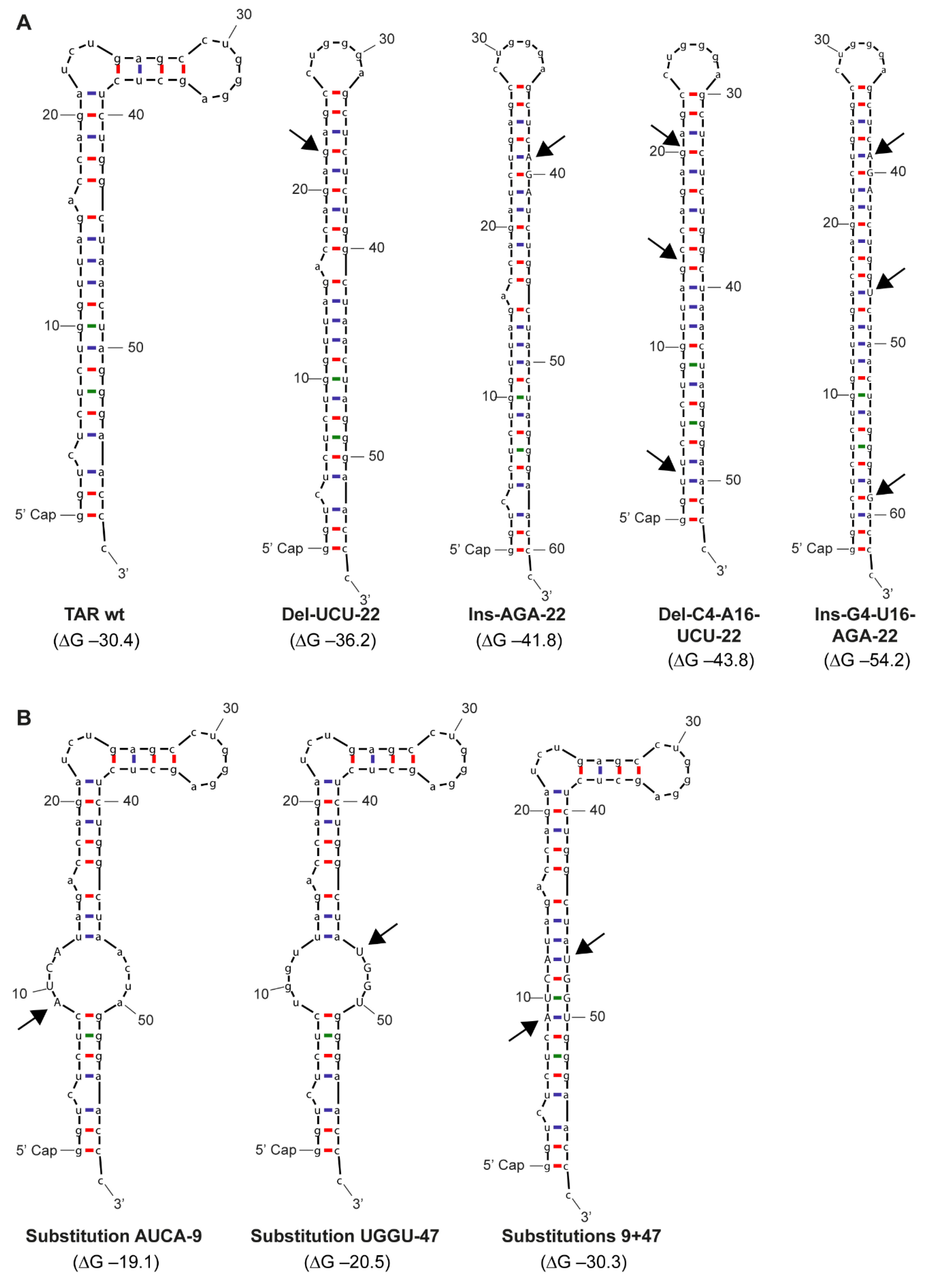 Pathogens 10 00897 g002 Pathogens 10 00897 g002