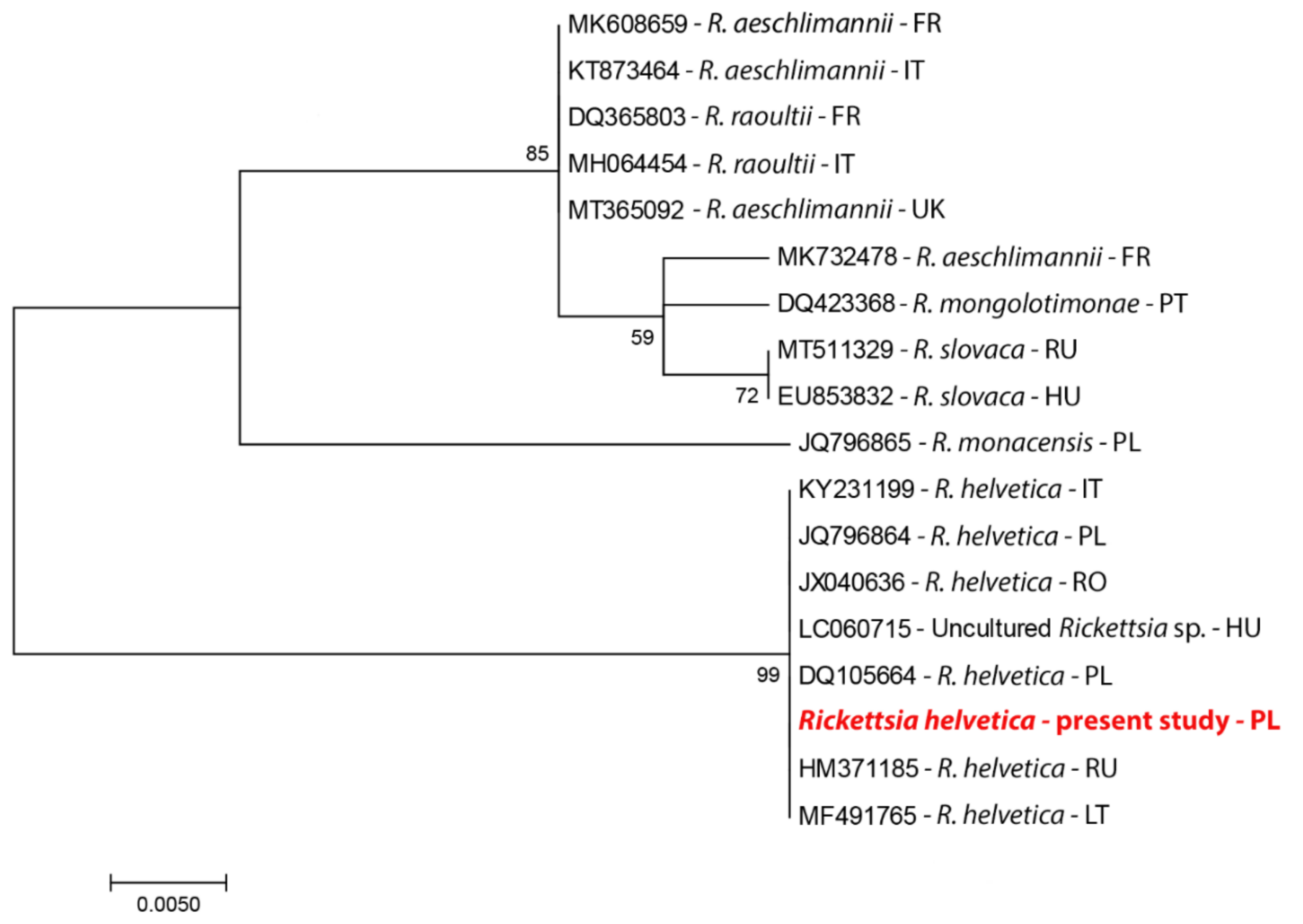 Pathogens 10 00901 g002
