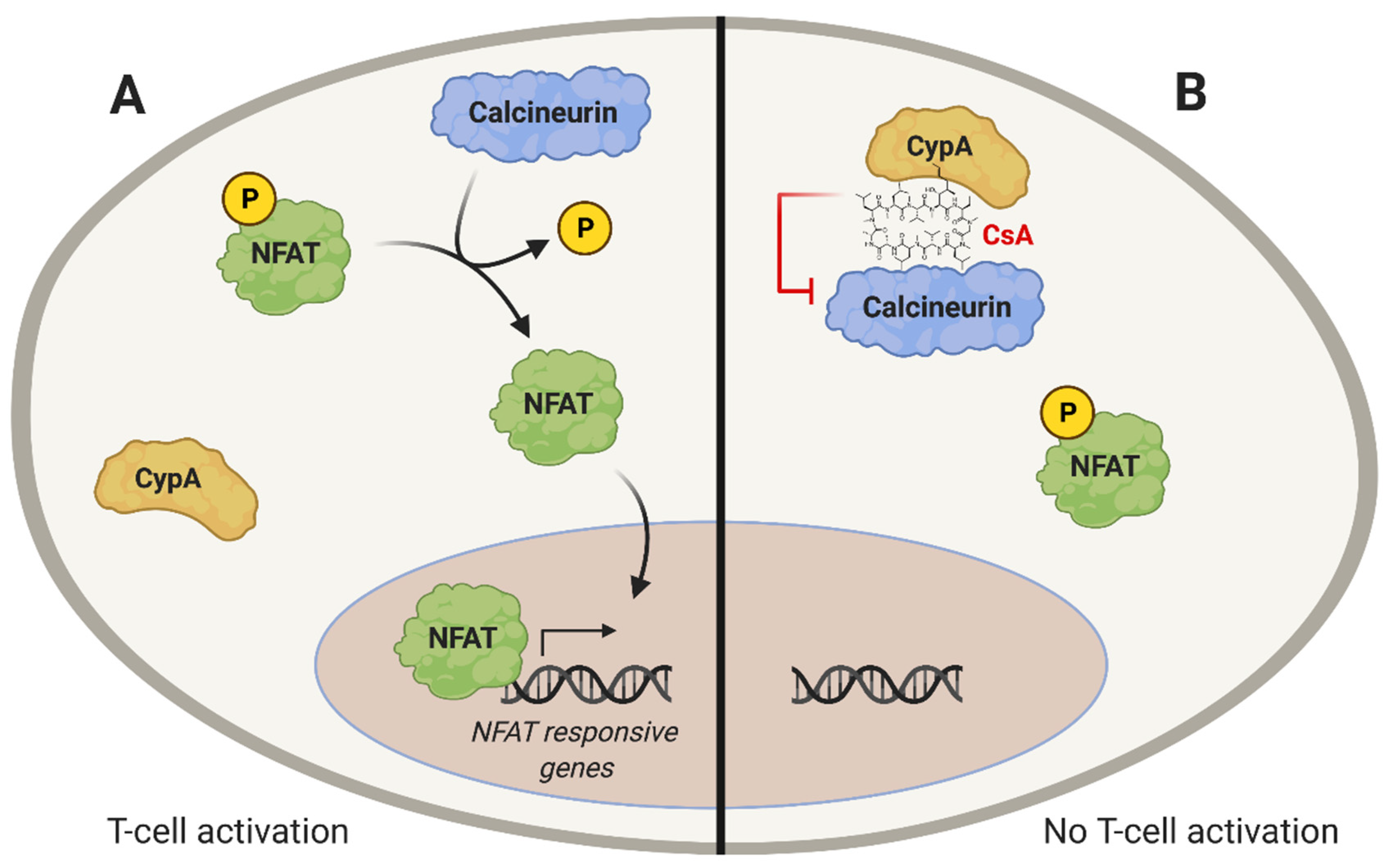 Pathogens 10 00902 g001 Pathogens 10 00902 g001